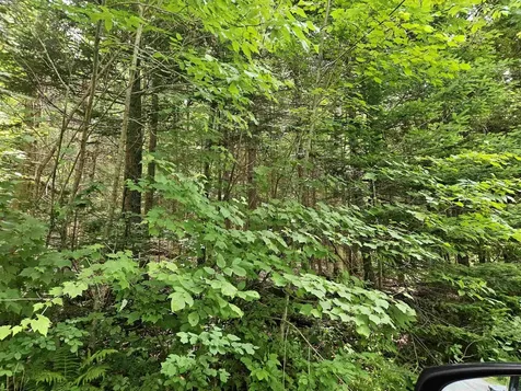 Lot 6 Mount Cleveland Road Bethlehem NH 03574