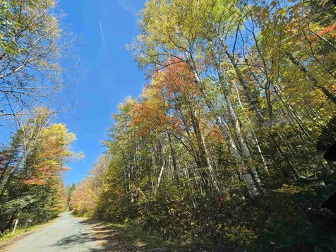 Lot 6 Mount Cleveland Road Bethlehem NH 03574