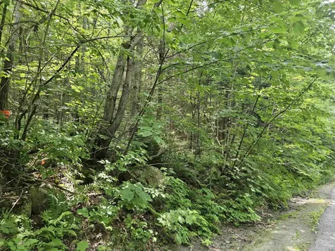 Lot 6 Mount Cleveland Road Bethlehem NH 03574