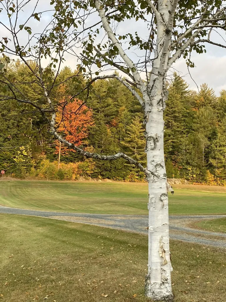 61 Putnam Road Bridgewater VT 05035