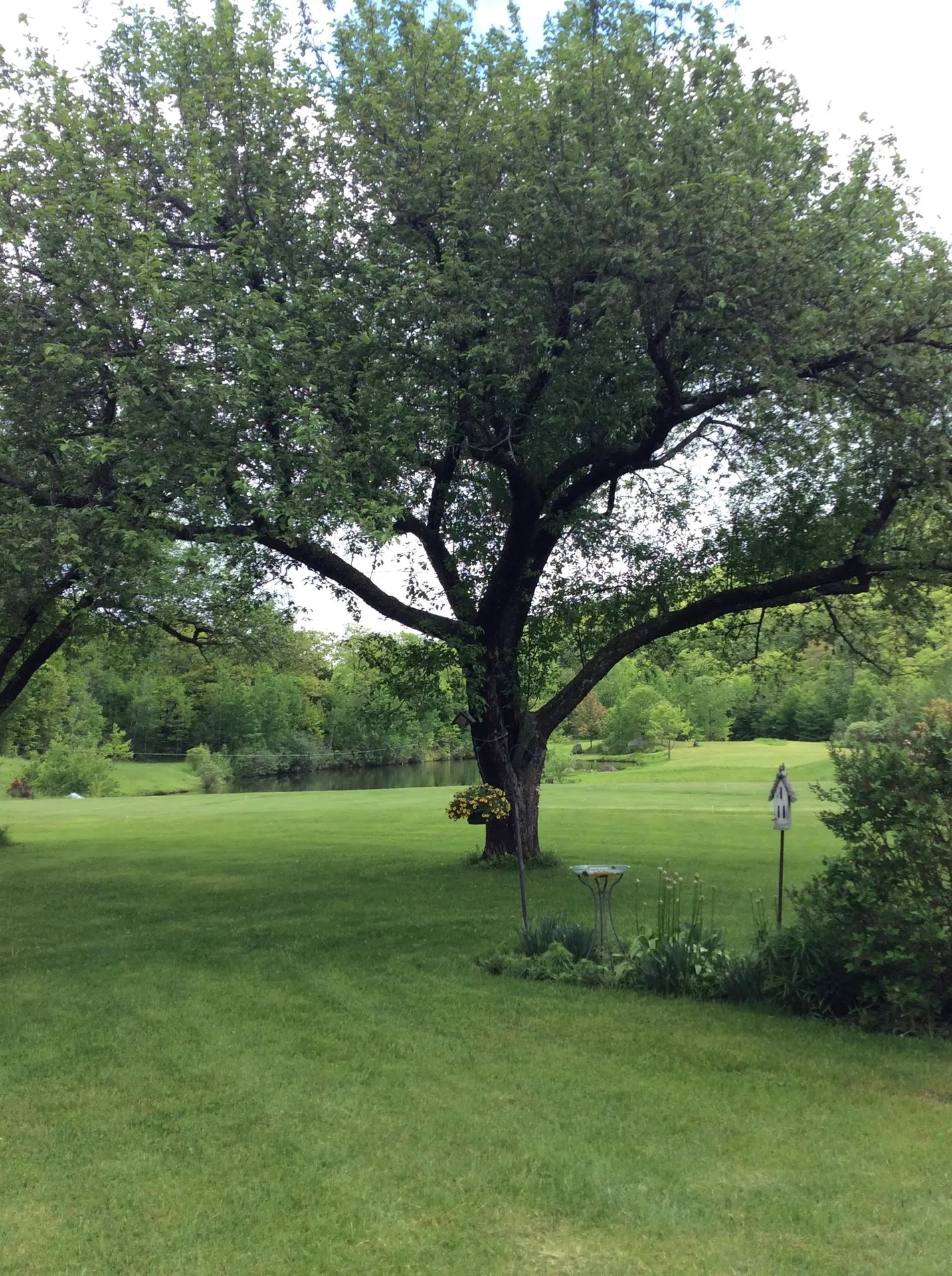 61 Putnam Road Bridgewater VT 05035