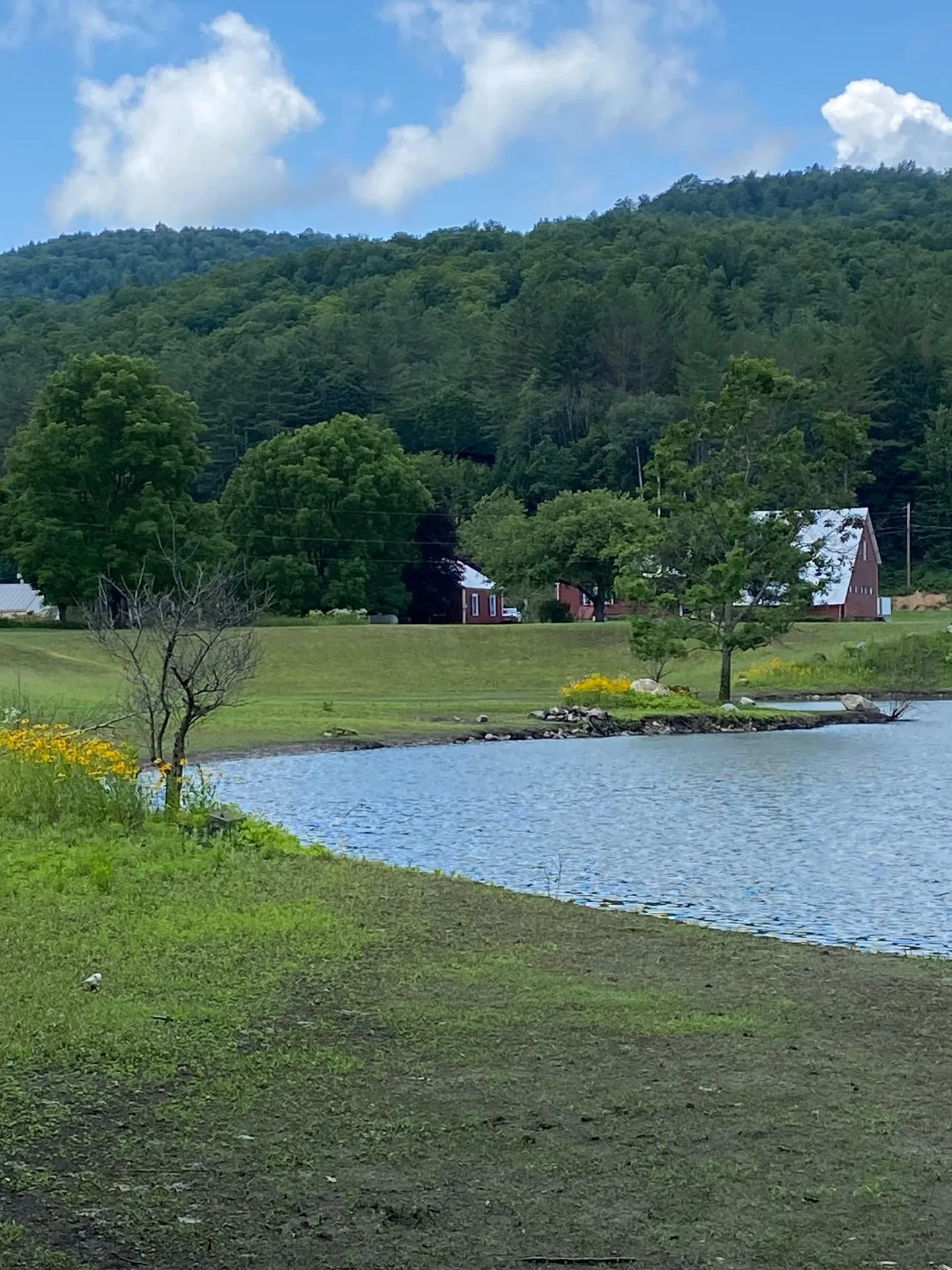 61 Putnam Road Bridgewater VT 05035