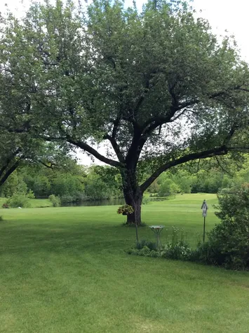 61 Putnam Road Bridgewater VT 05035