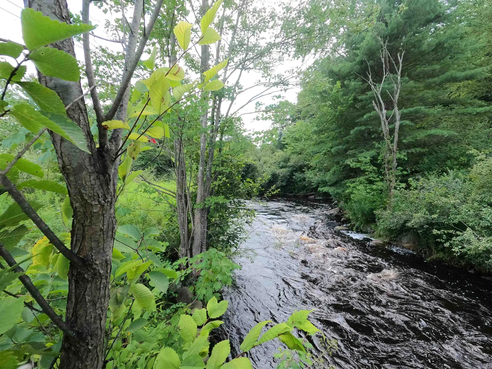 Mill Street Templeton MA 01468