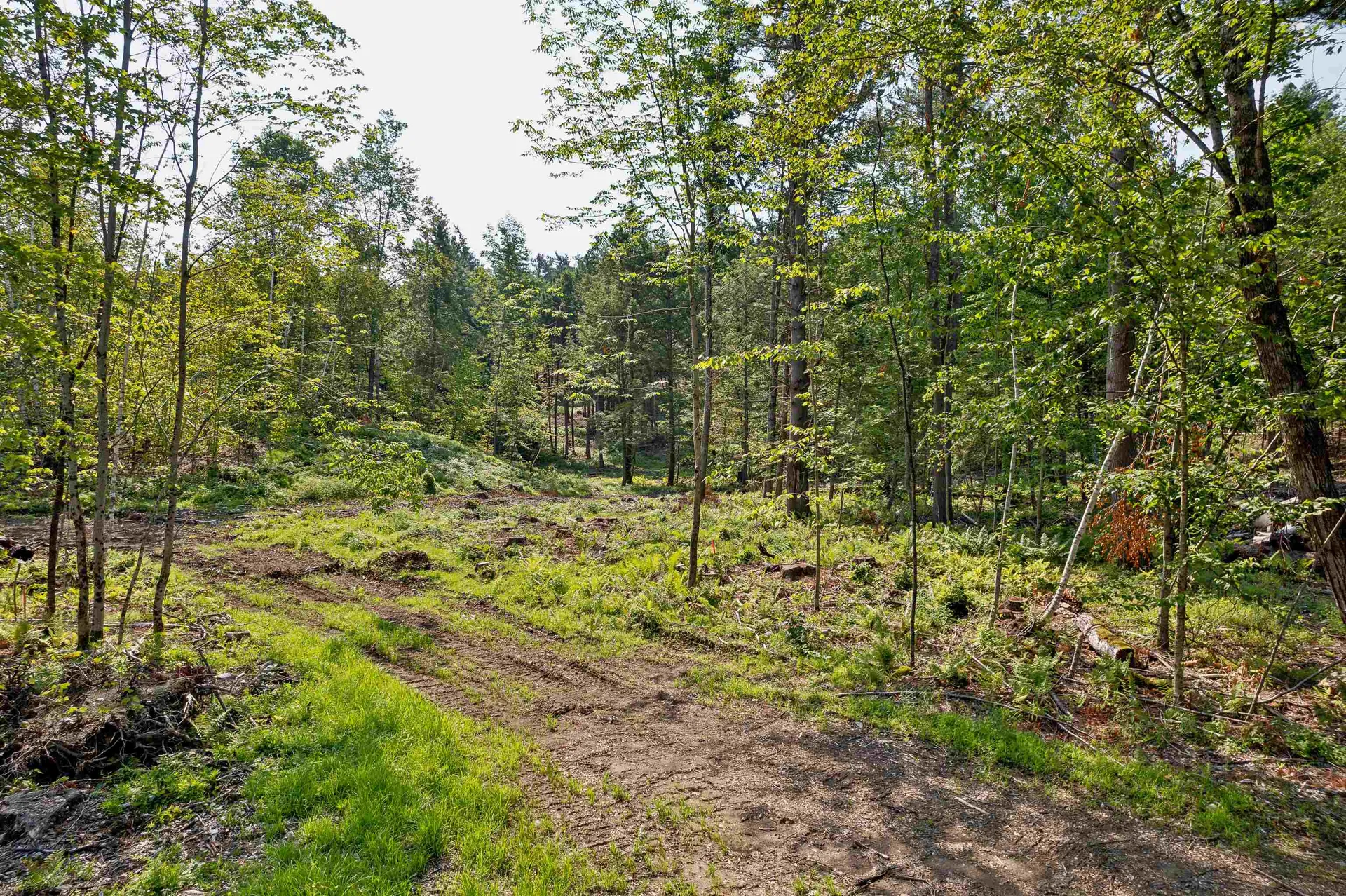 00 Court Street Haverhill NH 03765