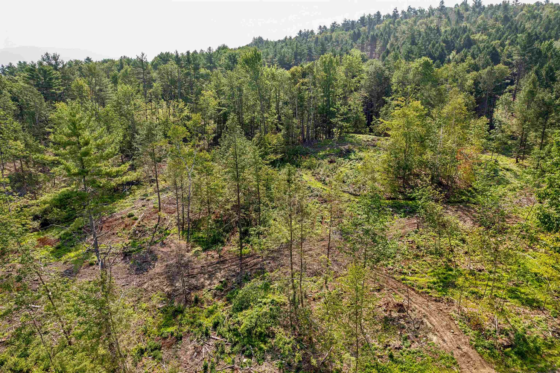 00 Court Street Haverhill NH 03765