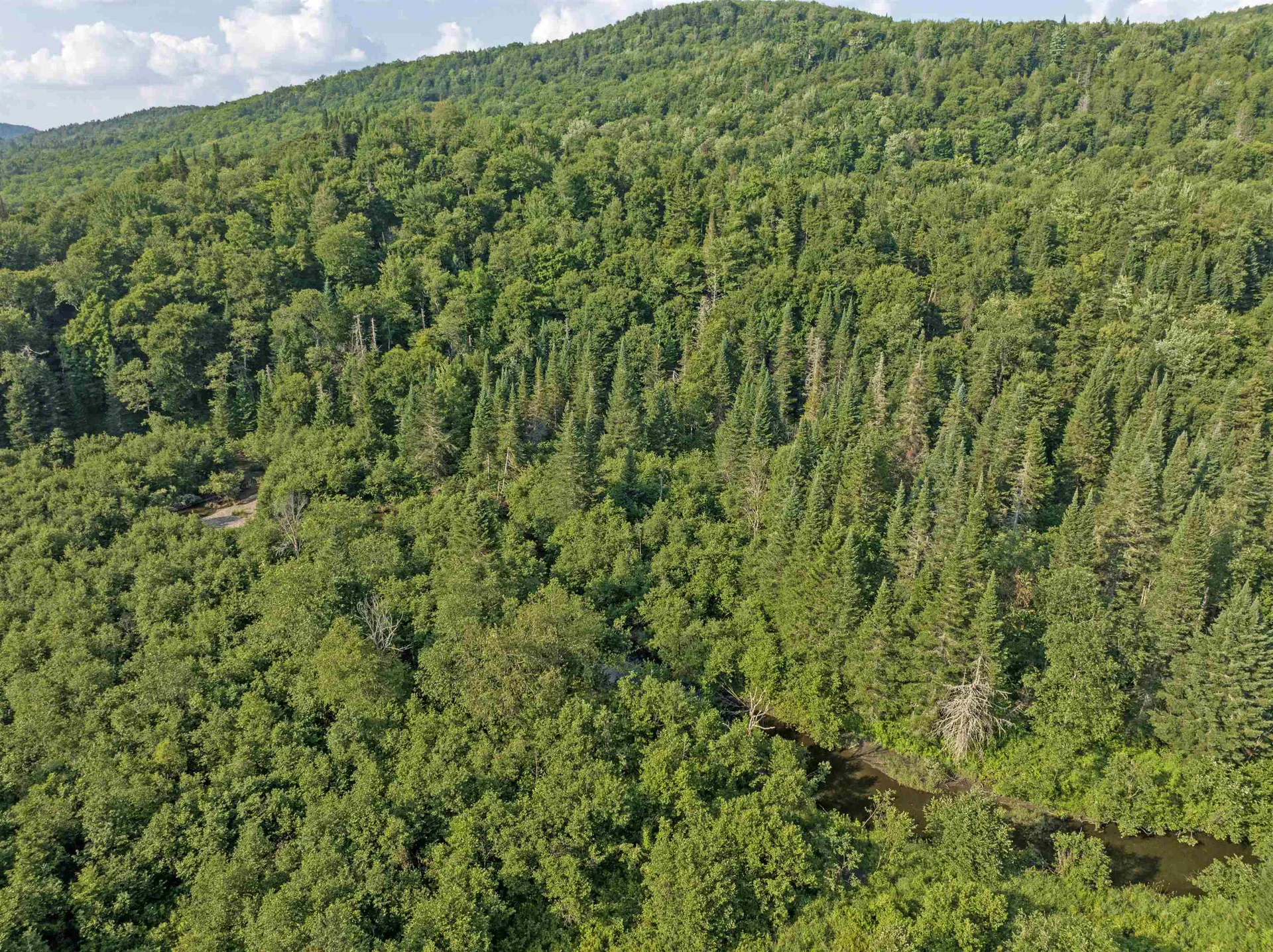 - Bishop Brook Road Stewartstown NH 03576