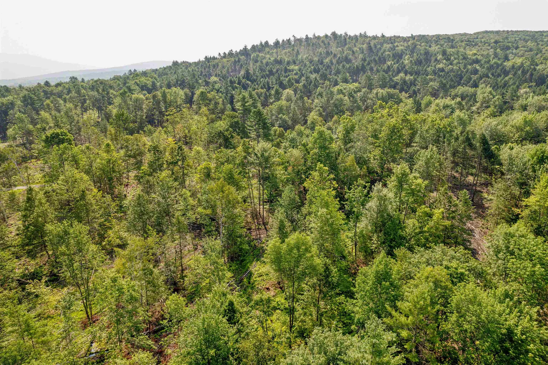 00 Court Street Haverhill NH 03765