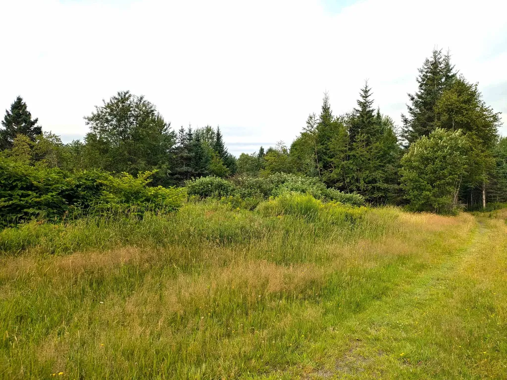 Lot 13 Bressette Road Clarksville NH 03592