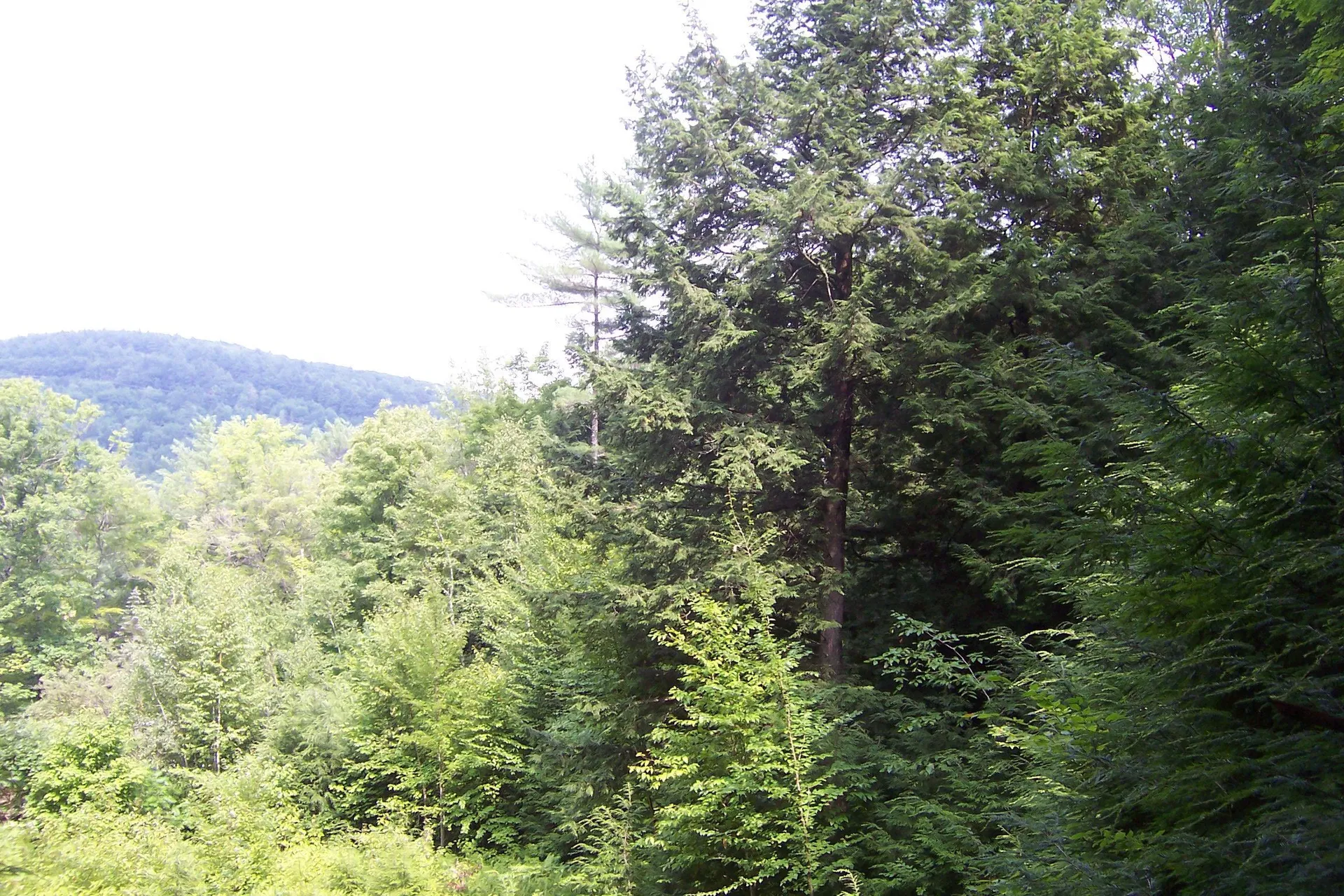 610 S Main Street Bristol NH 03222