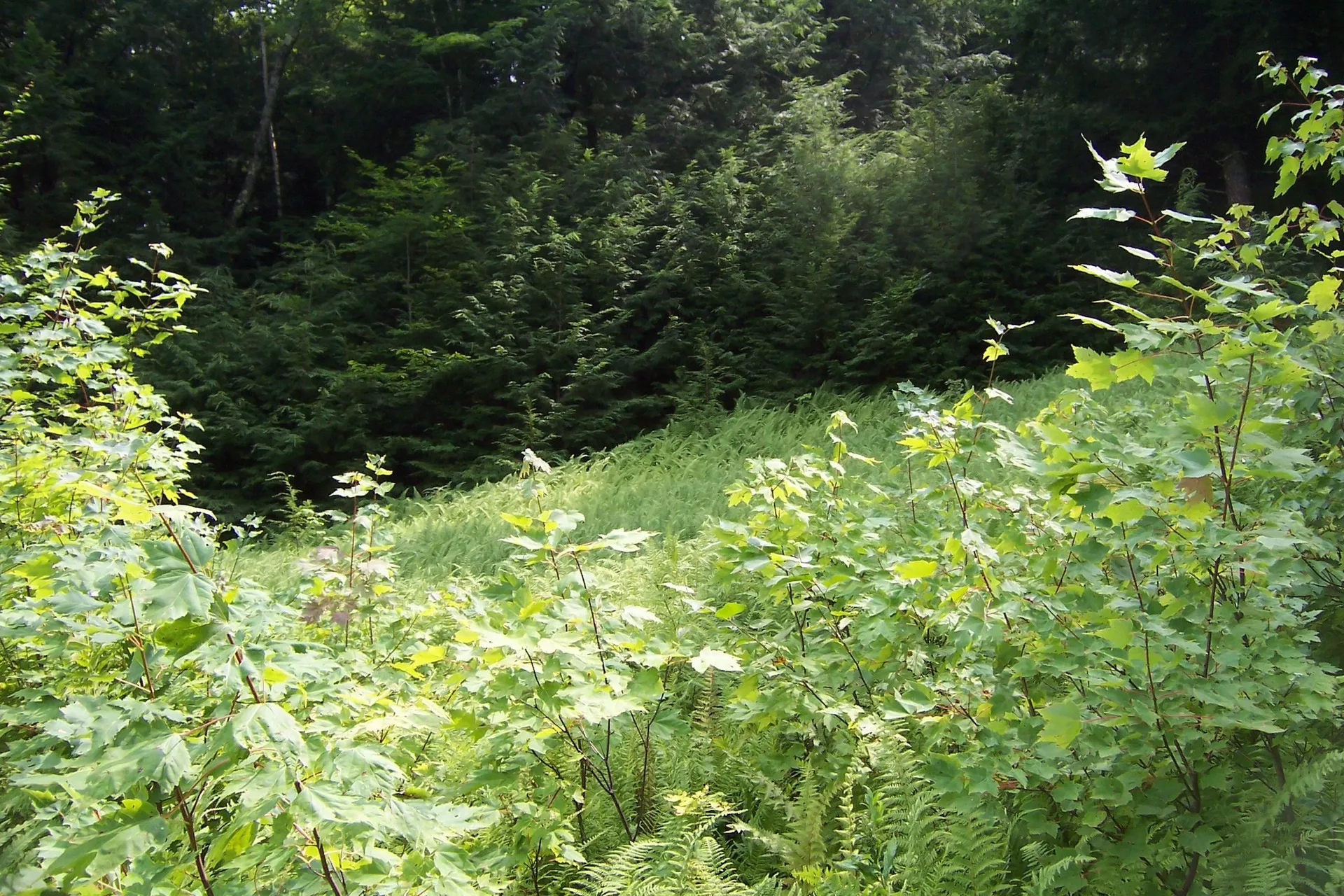 610 S Main Street Bristol NH 03222