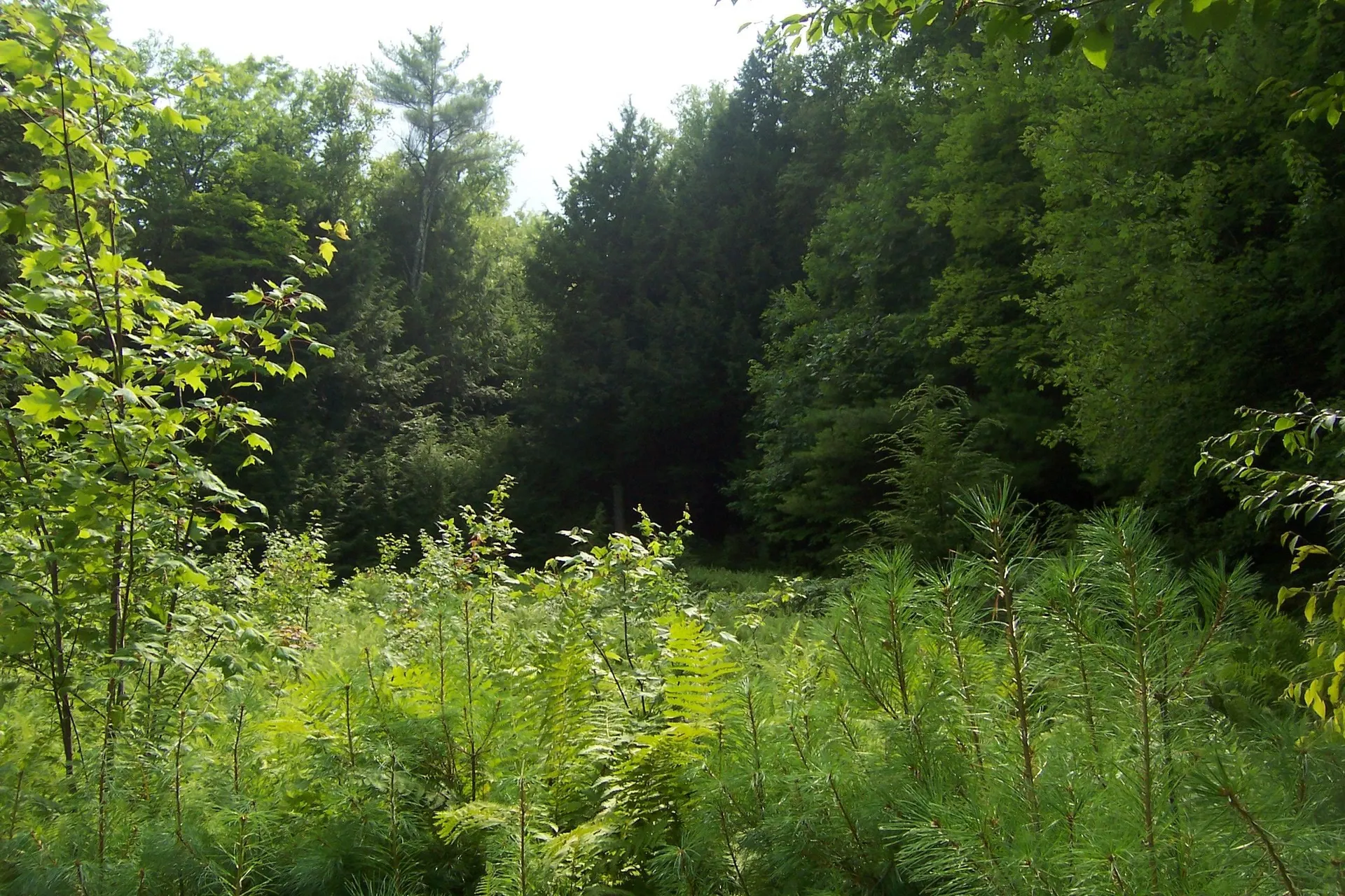 610 S Main Street Bristol NH 03222