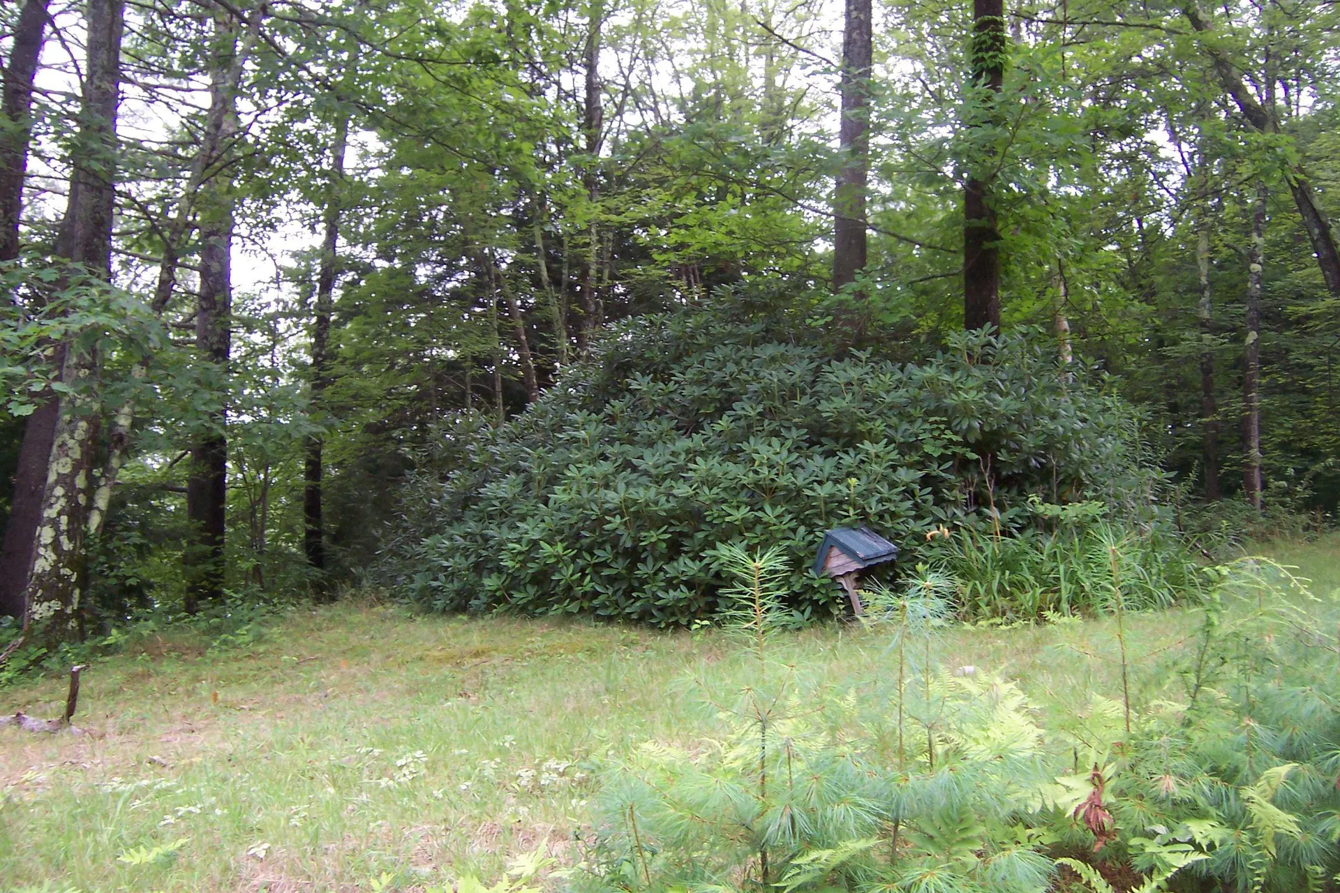 610 S Main Street Bristol NH 03222