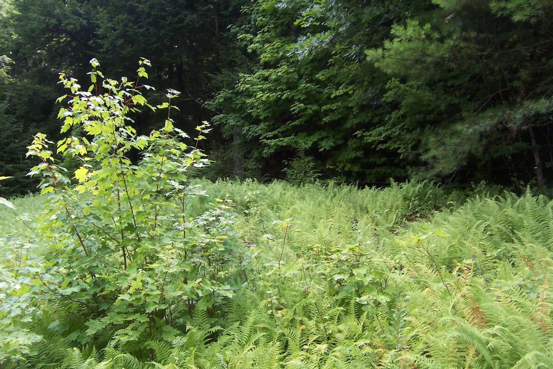 610 S Main Street Bristol NH 03222