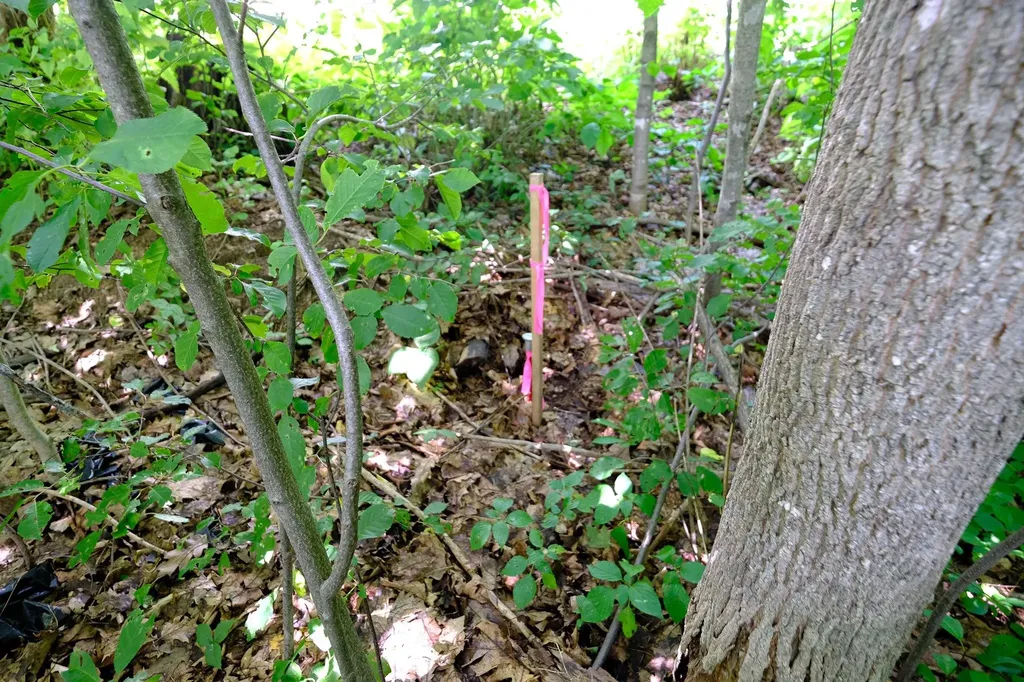 00 Gill Terrace Ludlow VT 05149