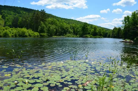 00 Gill Terrace Ludlow VT 05149