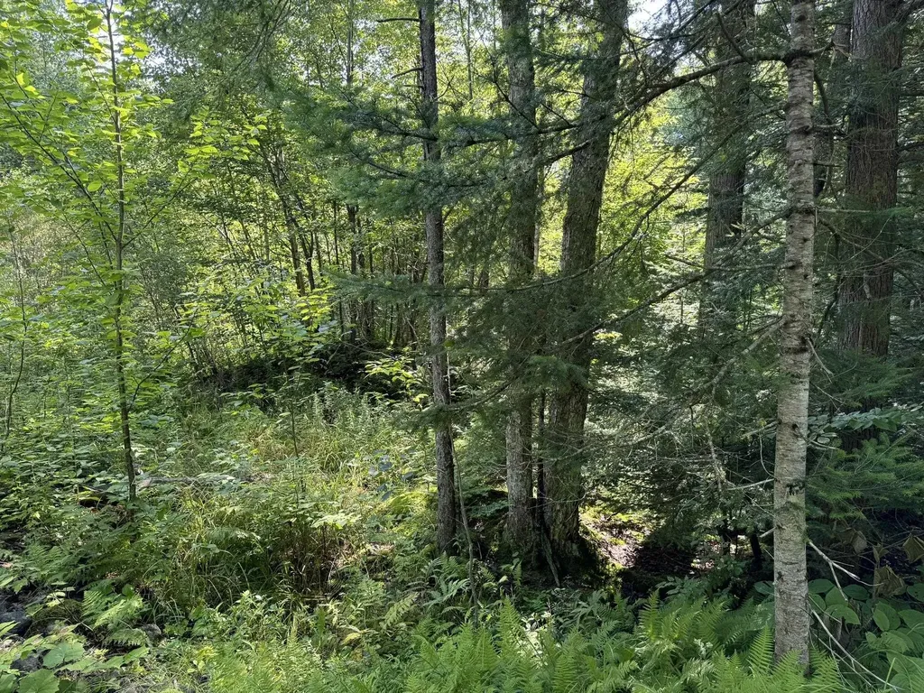 1 Forbush Road Wilmington VT 05363