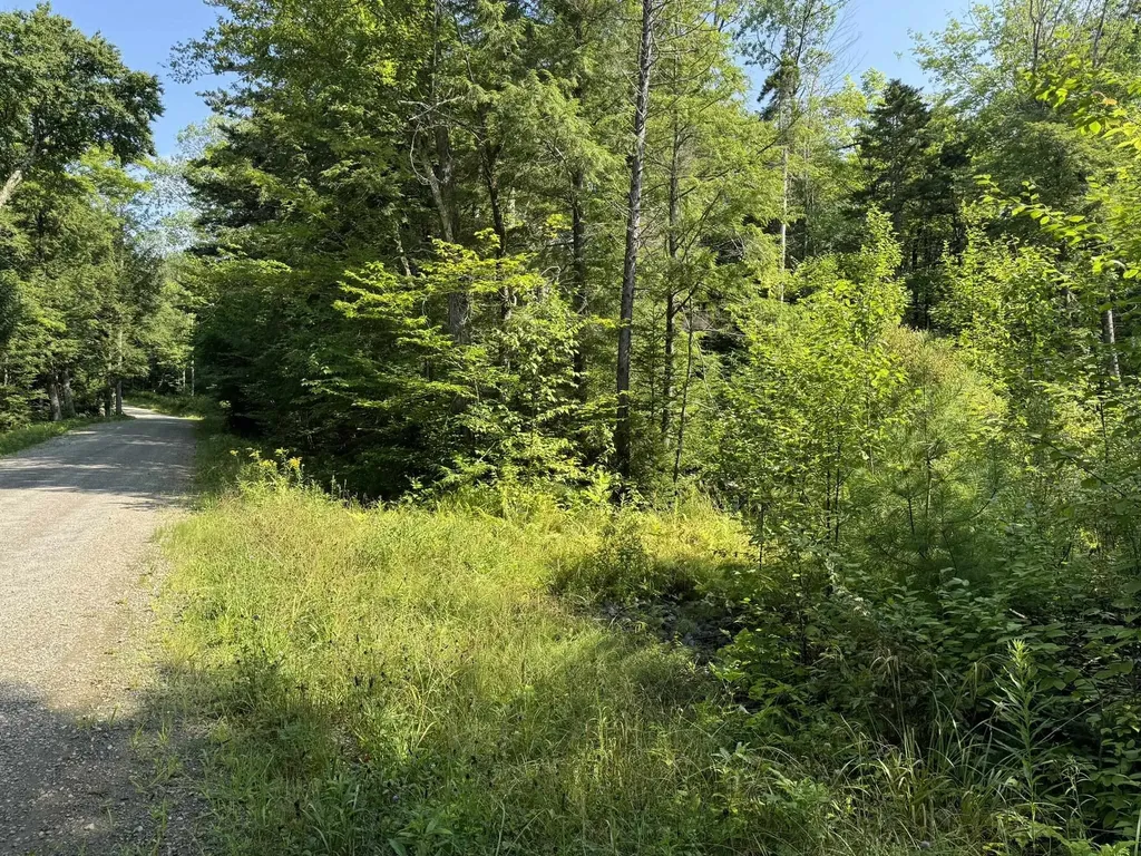 1 Forbush Road Wilmington VT 05363