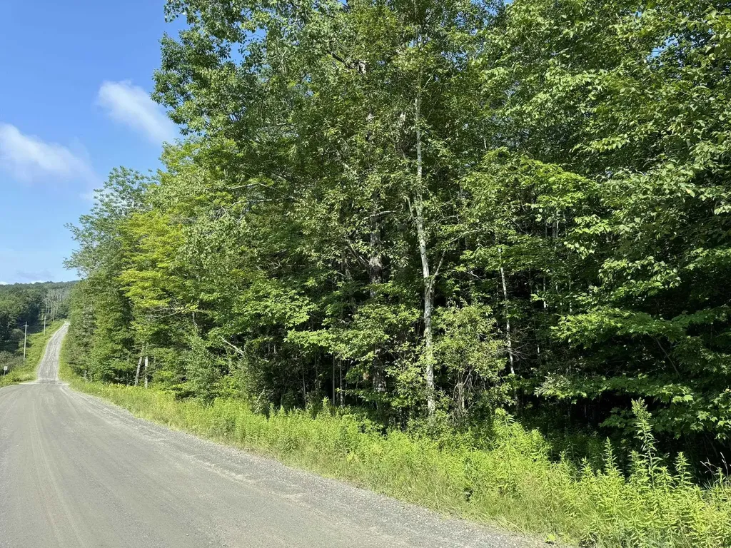 1 Forbush Road Wilmington VT 05363