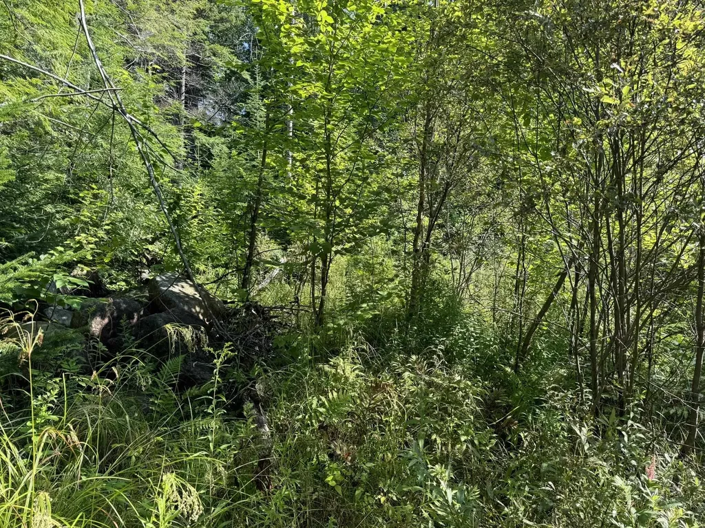 1 Forbush Road Wilmington VT 05363