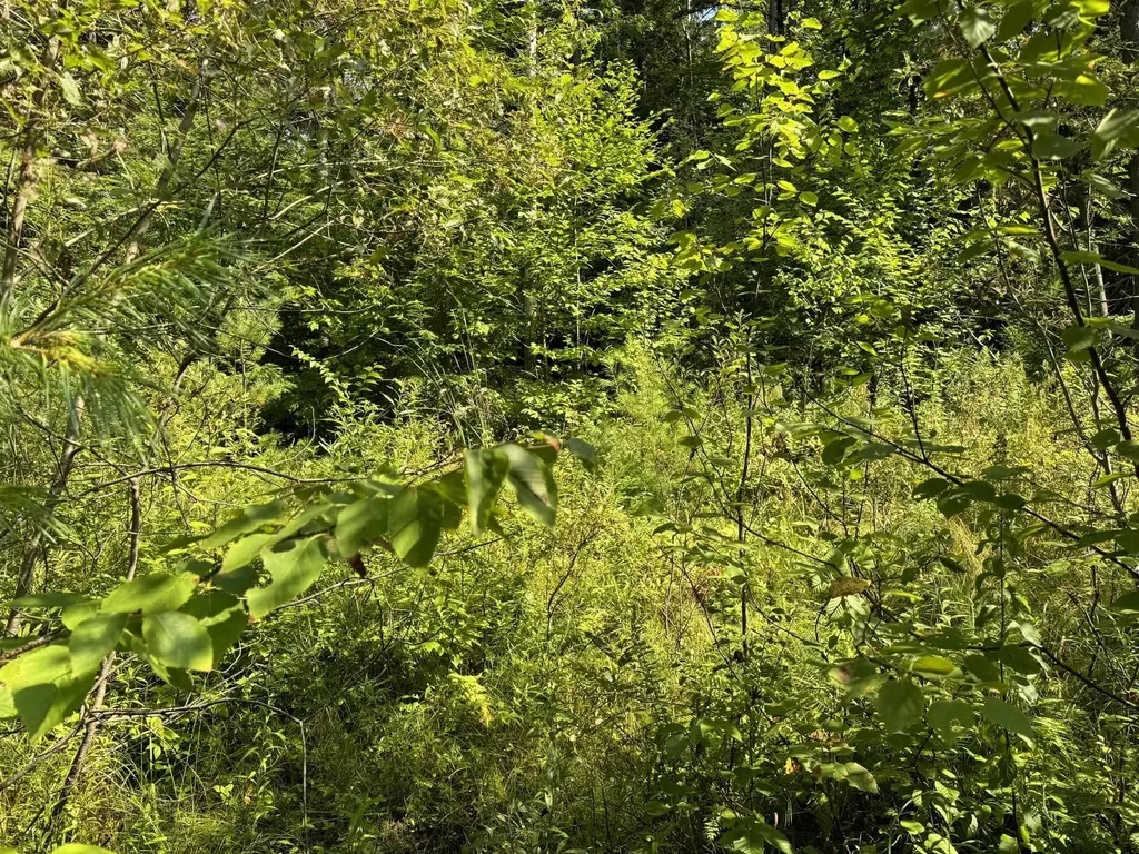 1 Forbush Road Wilmington VT 05363