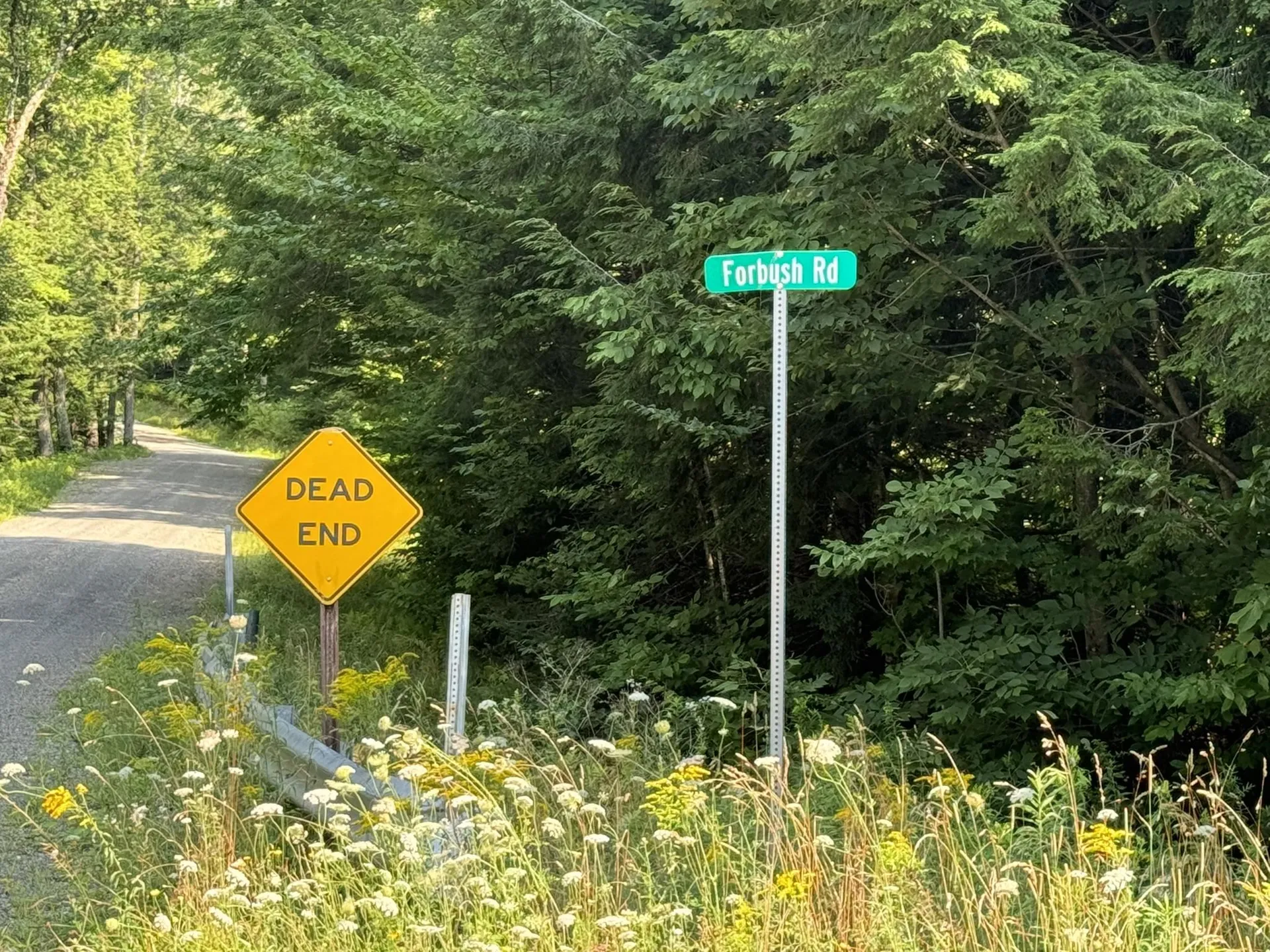 1 Forbush Road Wilmington VT 05363