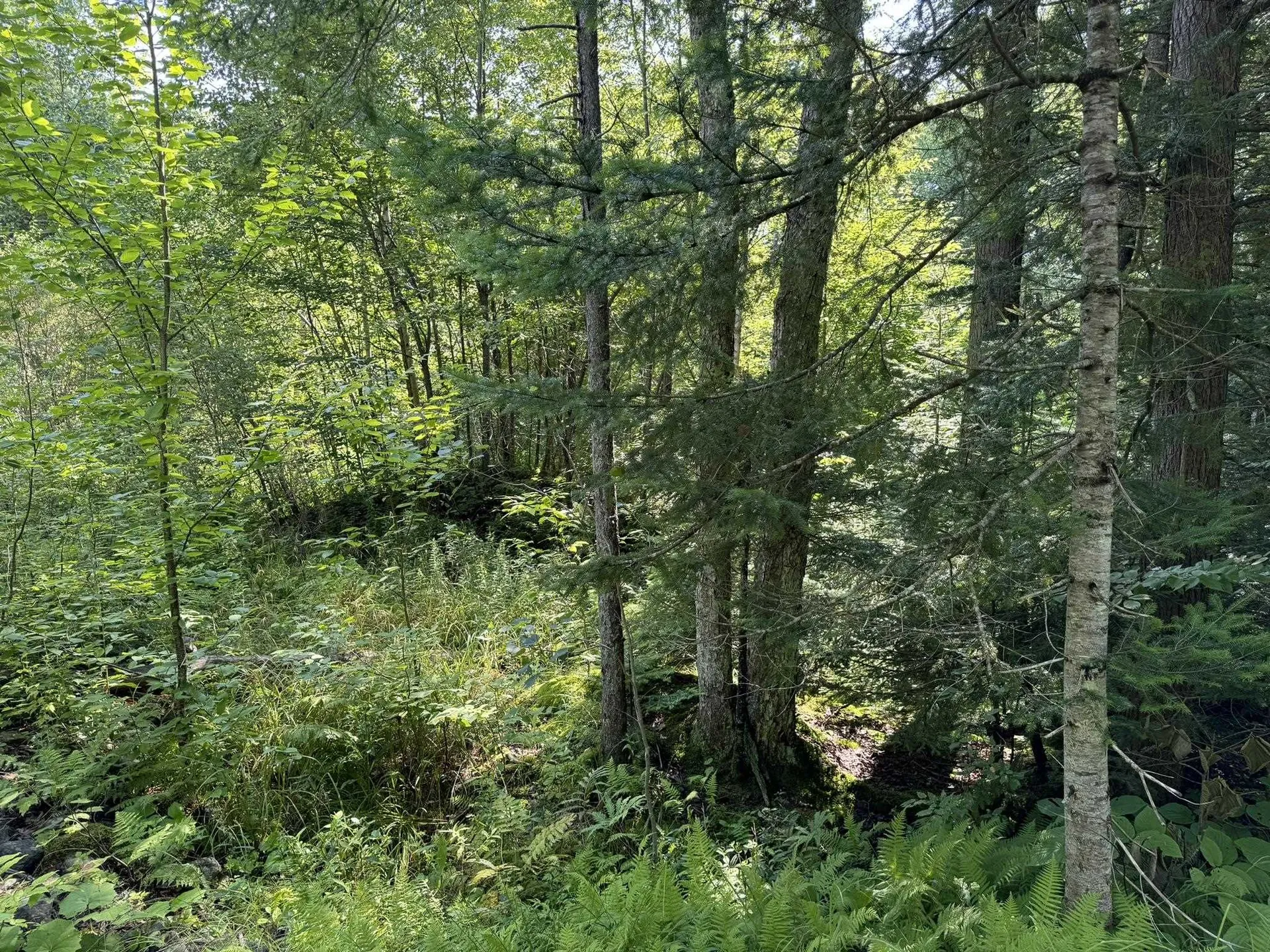 1 Forbush Road Wilmington VT 05363