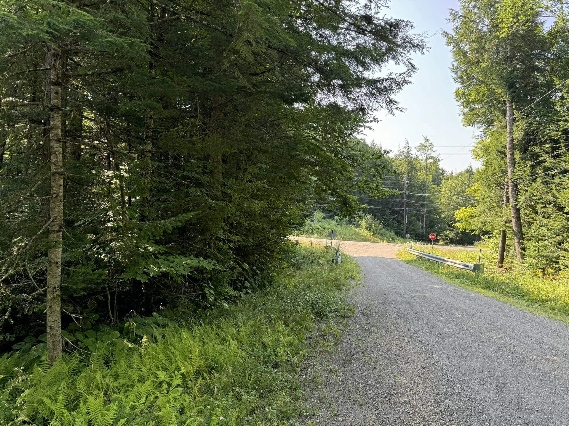 1 Forbush Road Wilmington VT 05363