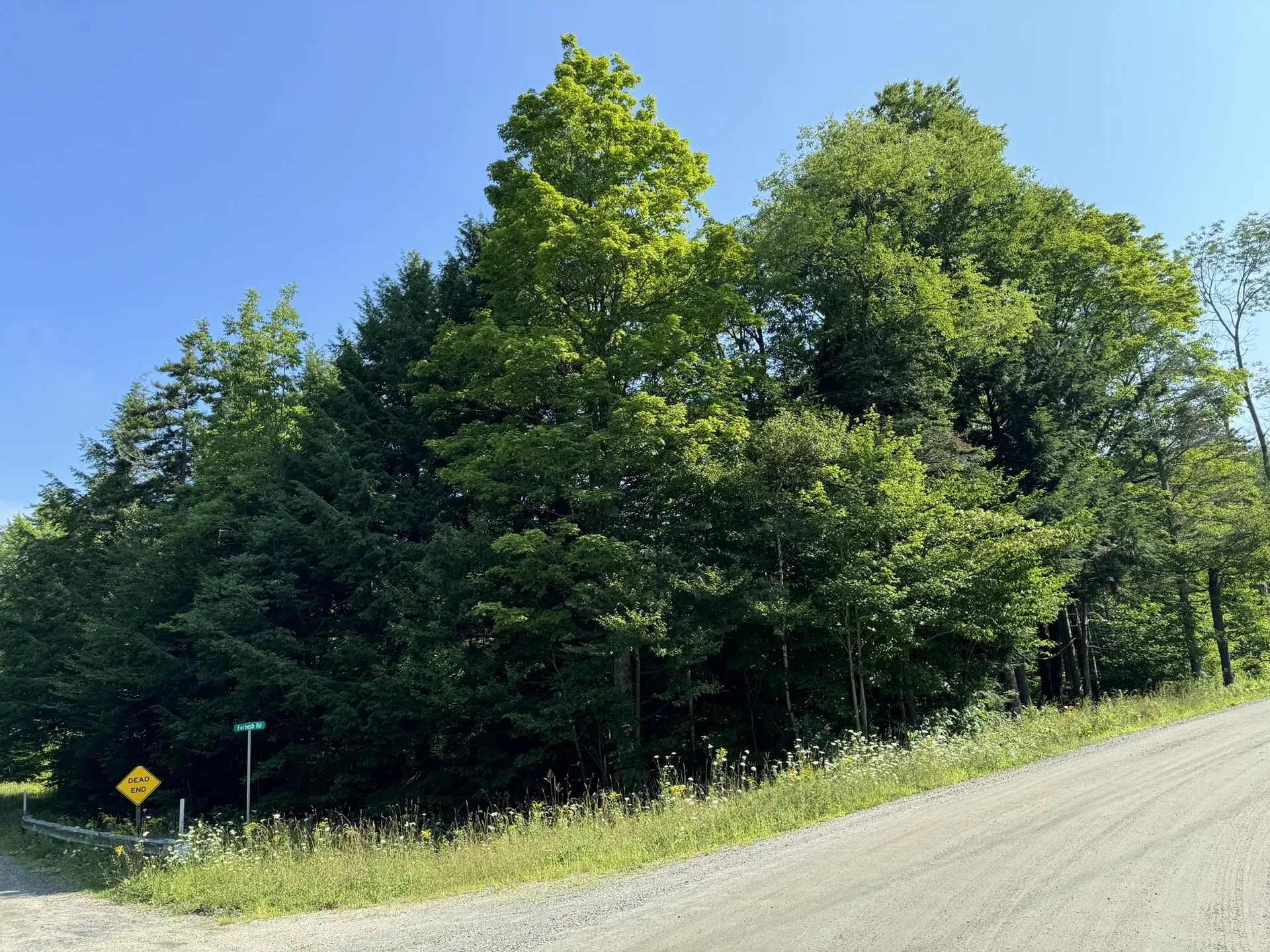 1 Forbush Road Wilmington VT 05363