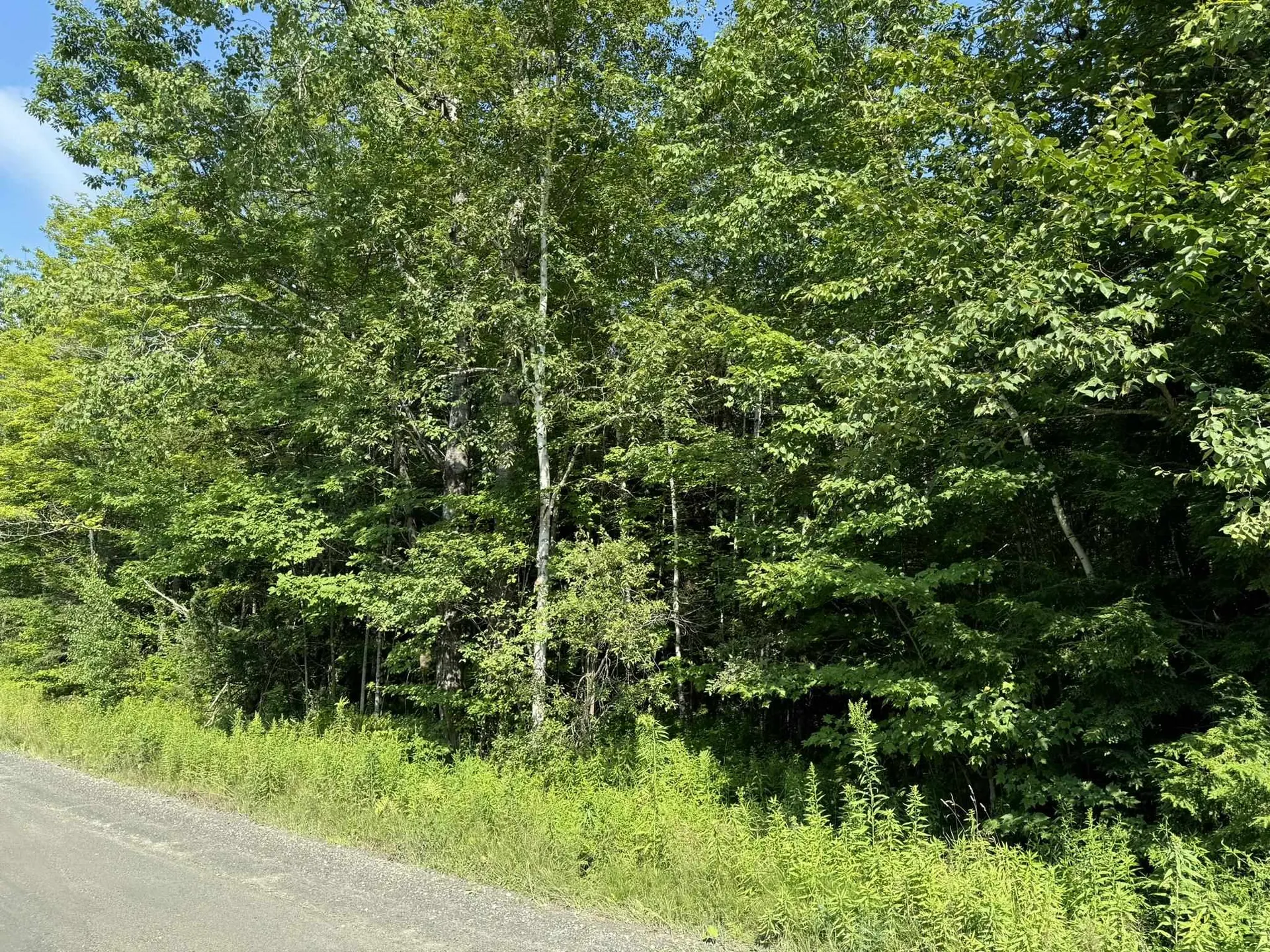 1 Forbush Road Wilmington VT 05363