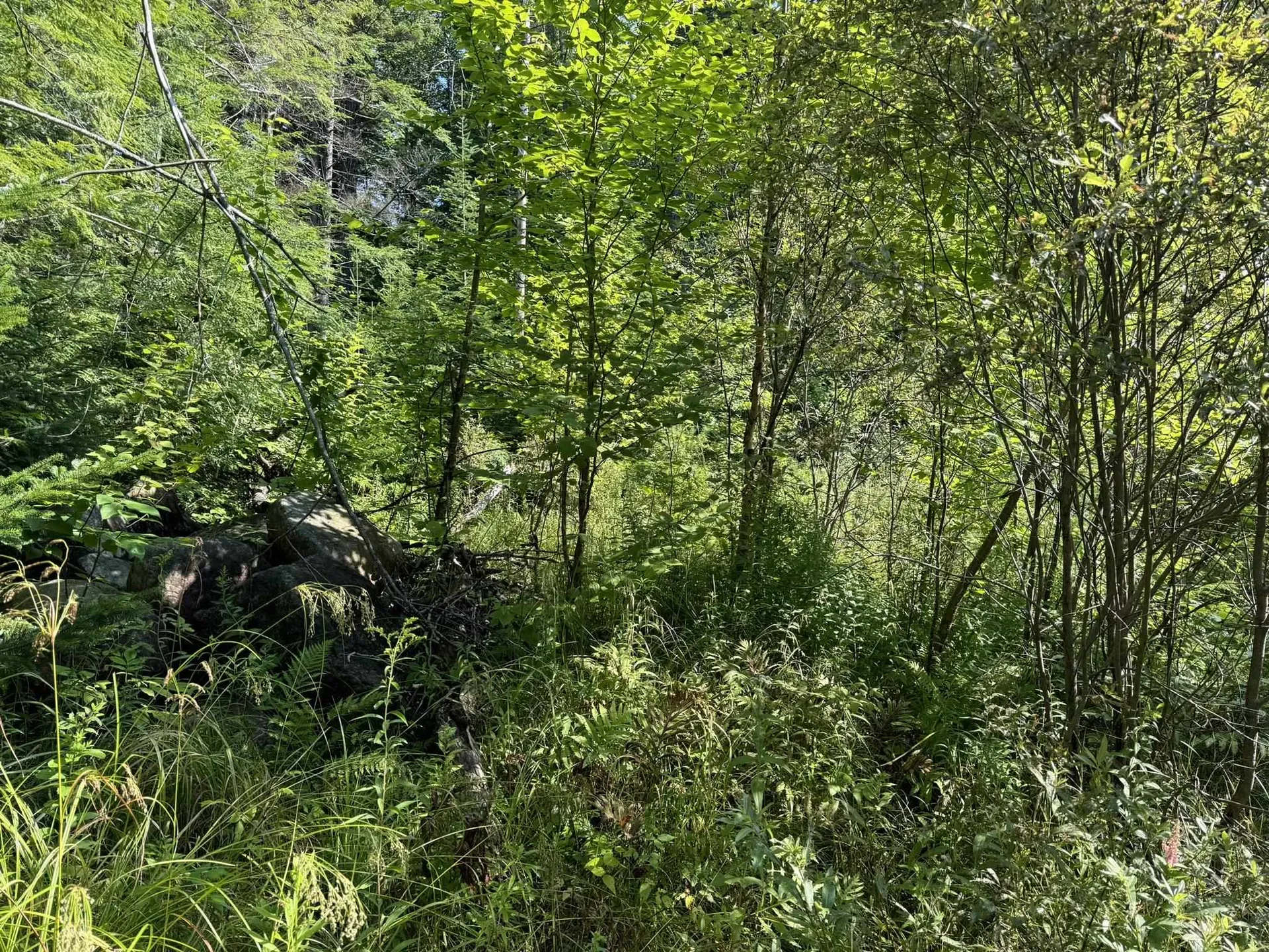 1 Forbush Road Wilmington VT 05363