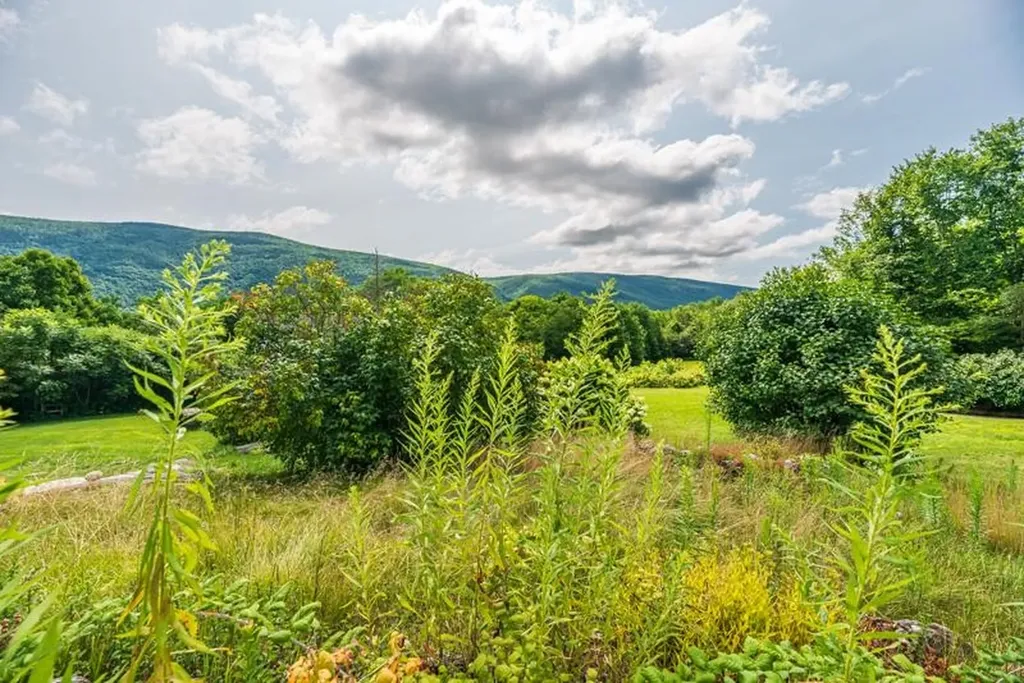 723 Quarry Hill Road Danby VT 05739