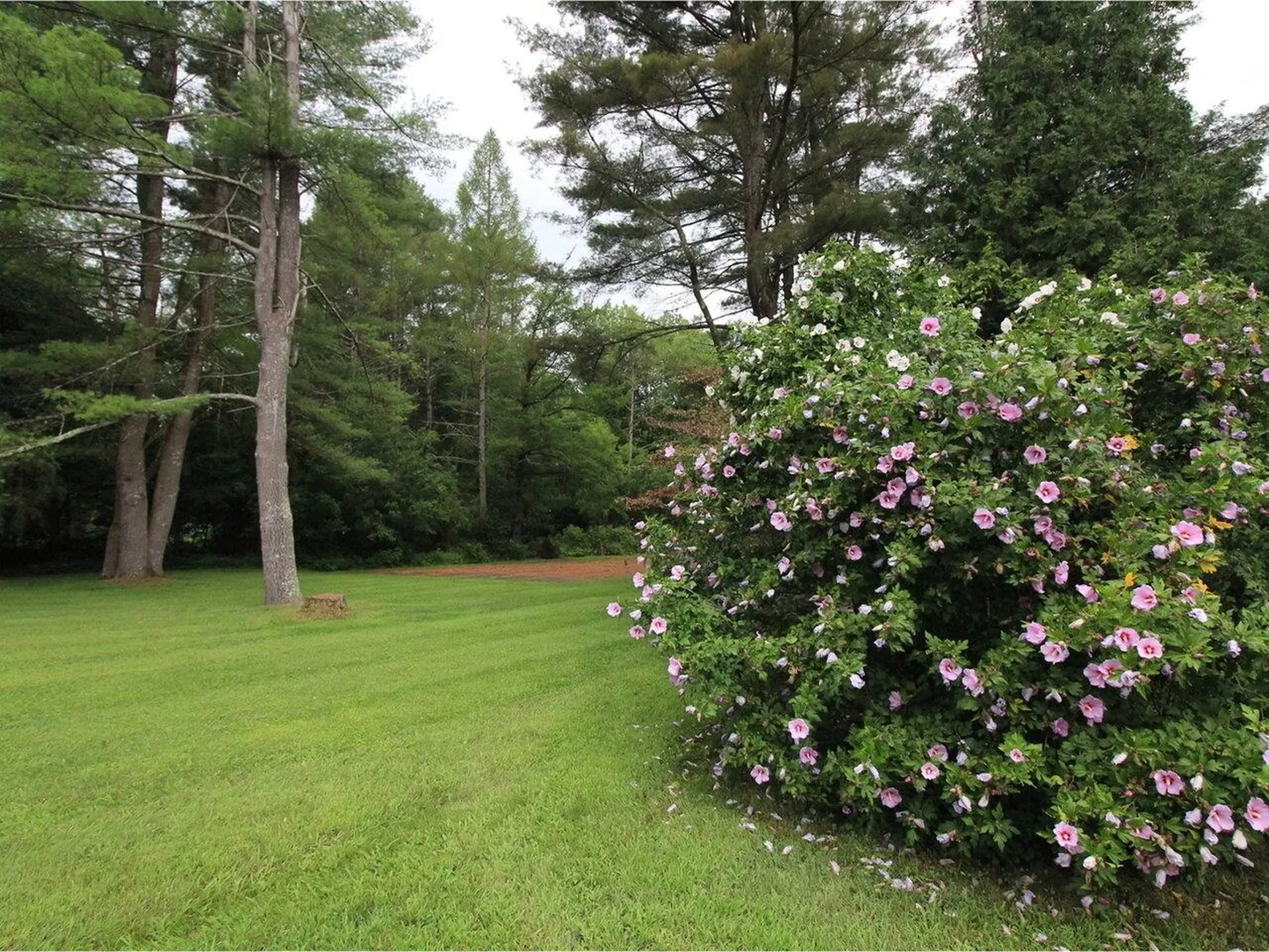 205 River Road Essex VT 05452