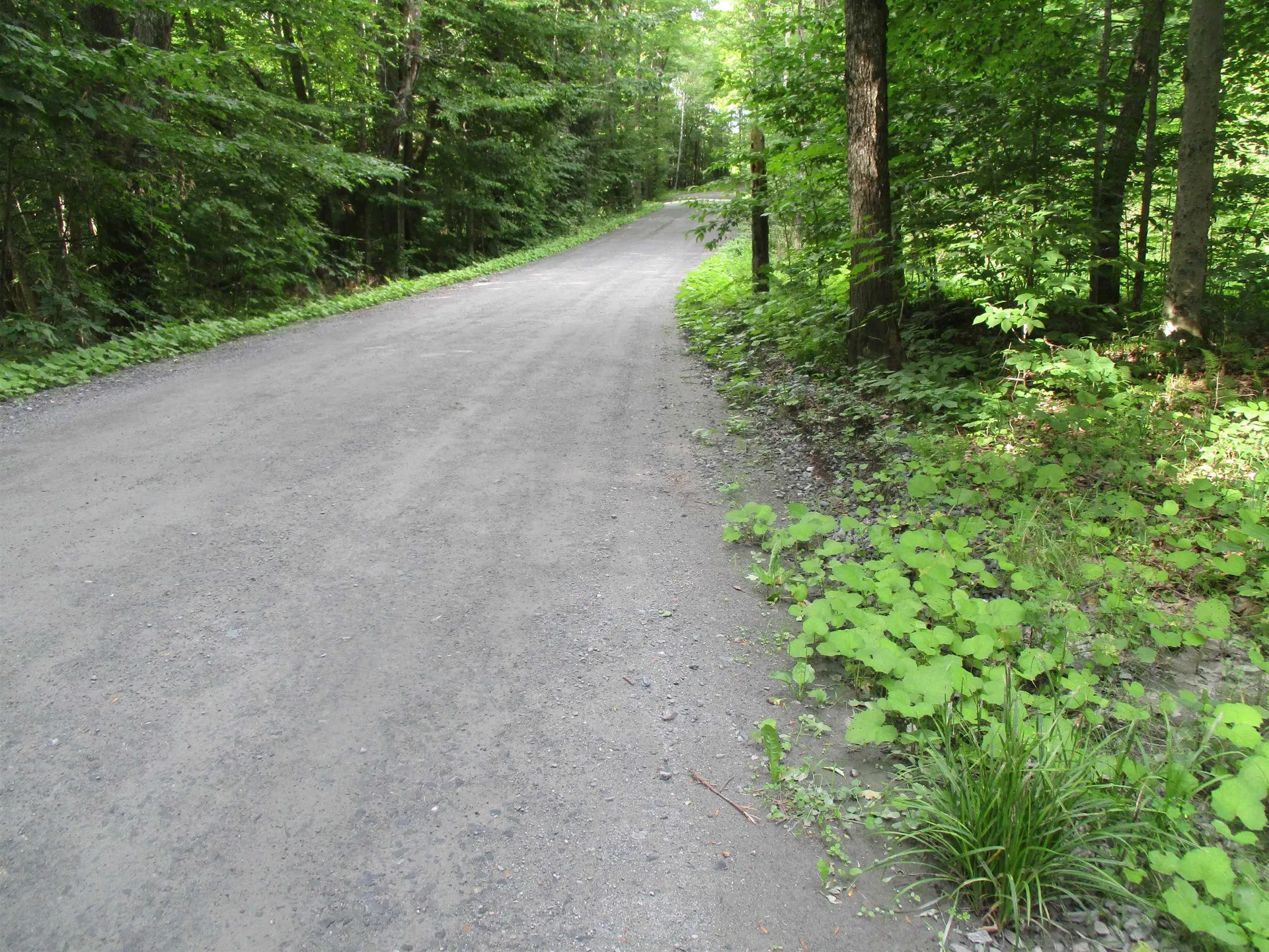 60 Farnsworth Lane Brookfield VT 05036