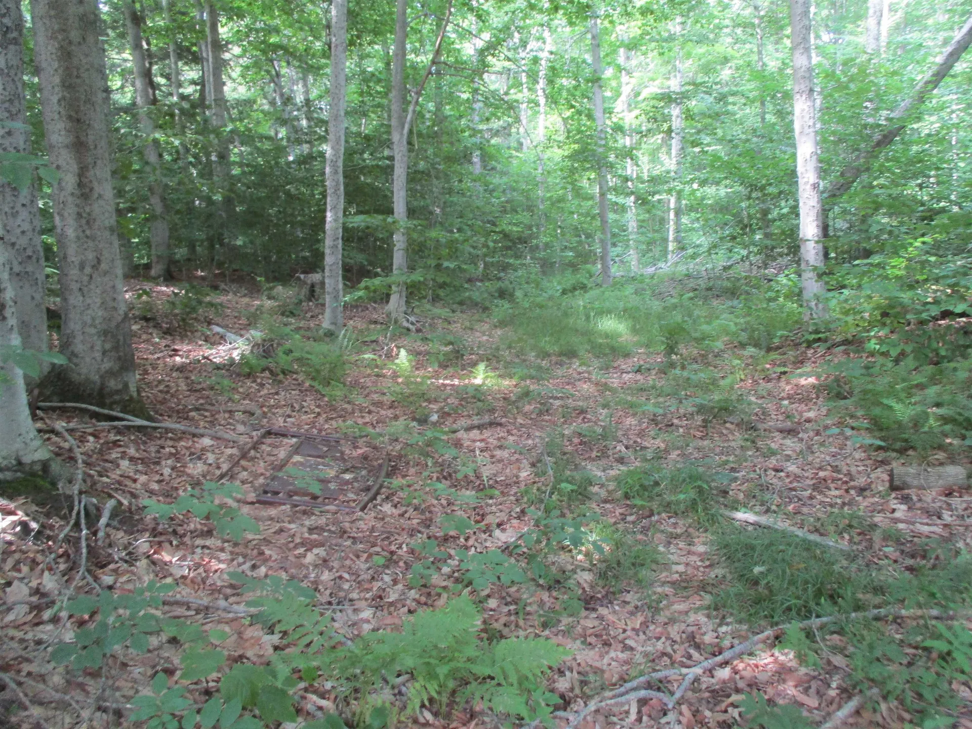 60 Farnsworth Lane Brookfield VT 05036