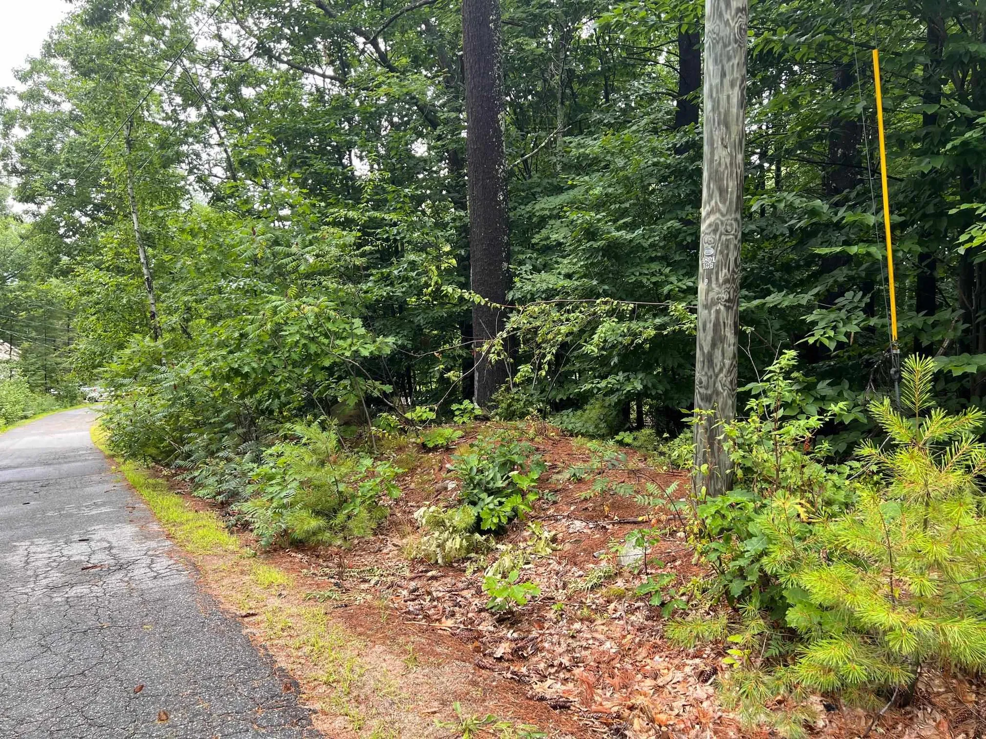 Lot 84 Franconia Drive New Durham NH 03855