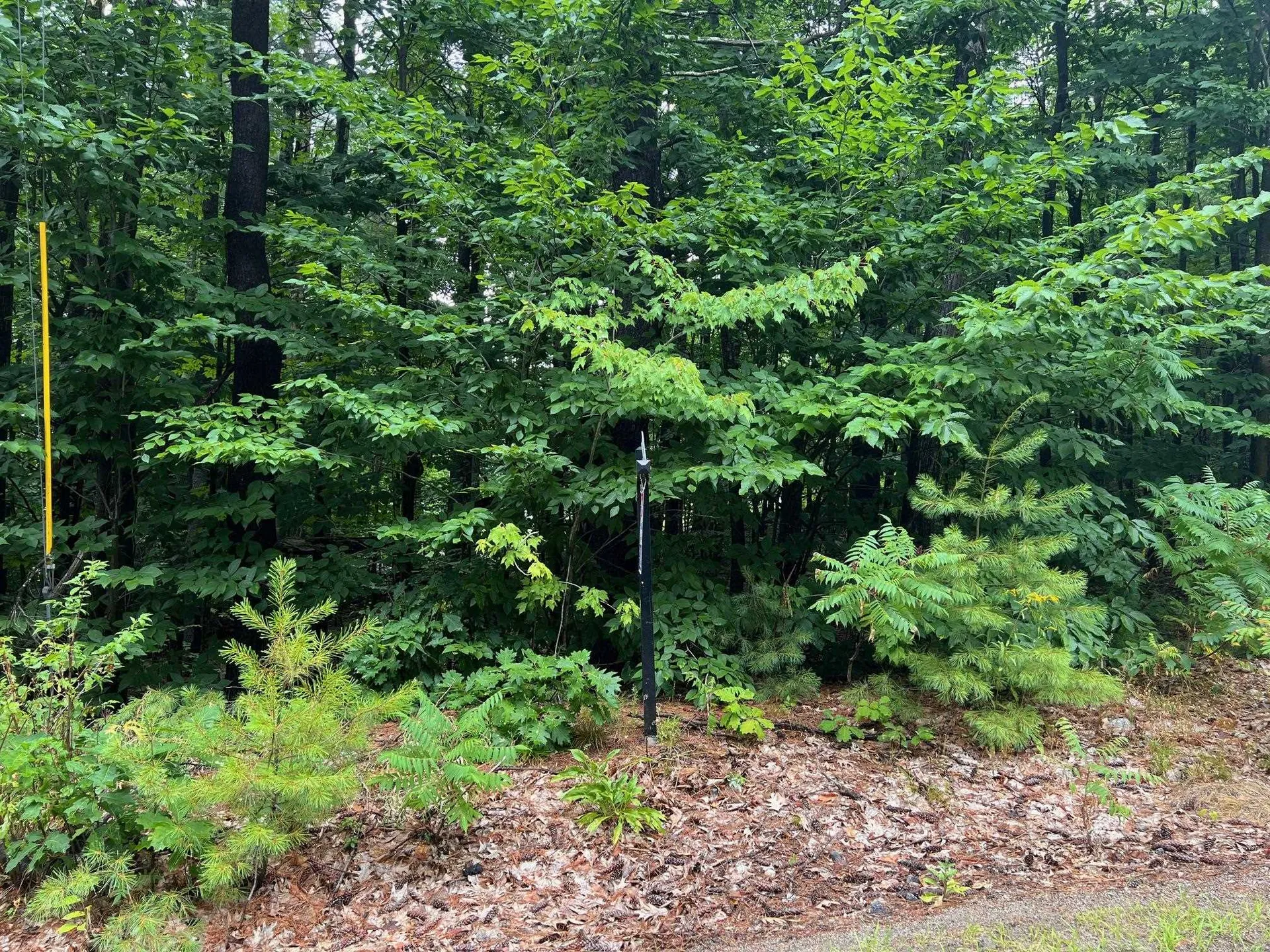 Lot 84 Franconia Drive New Durham NH 03855