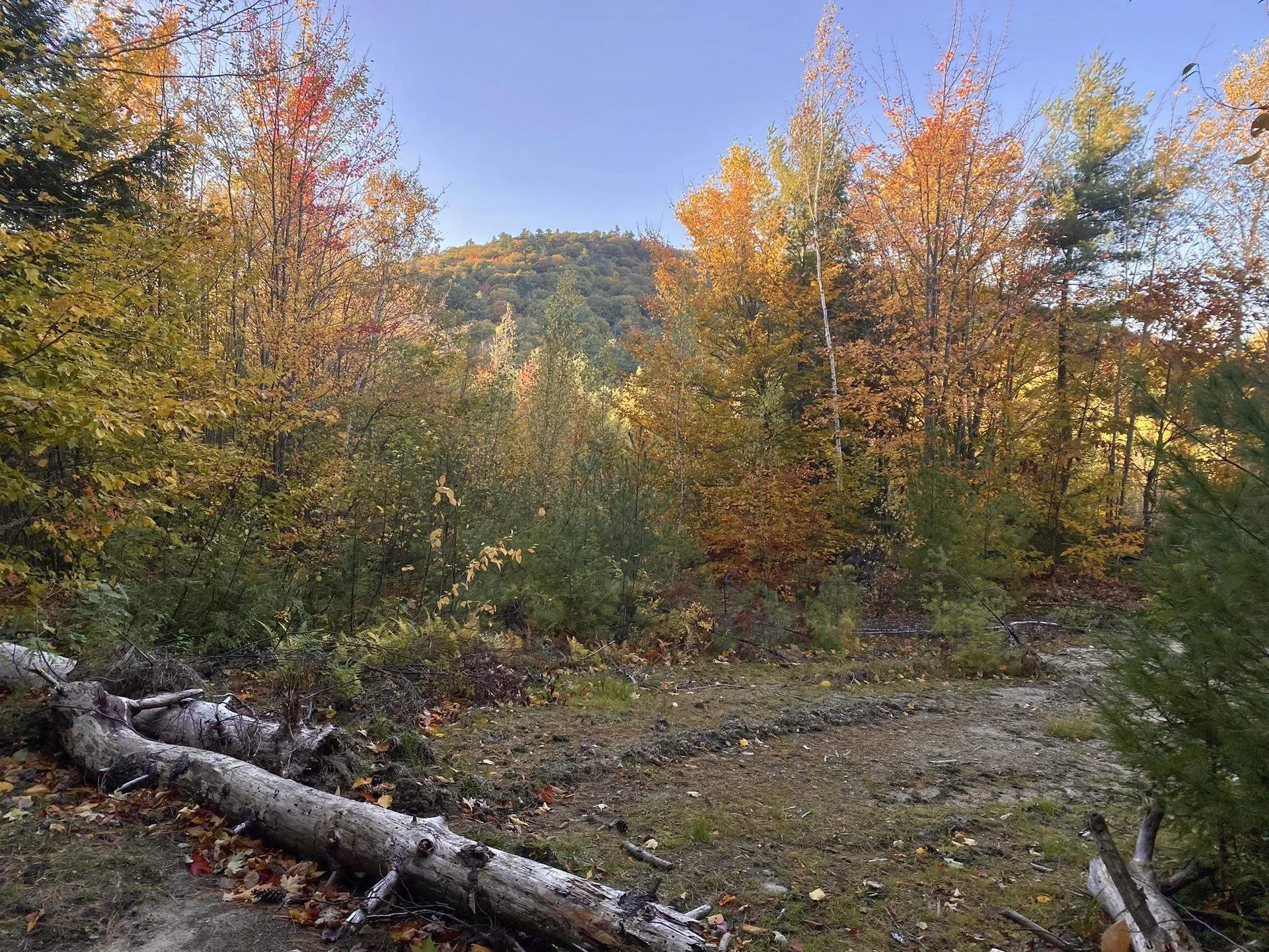 Willis Bean Road Eaton NH 03832