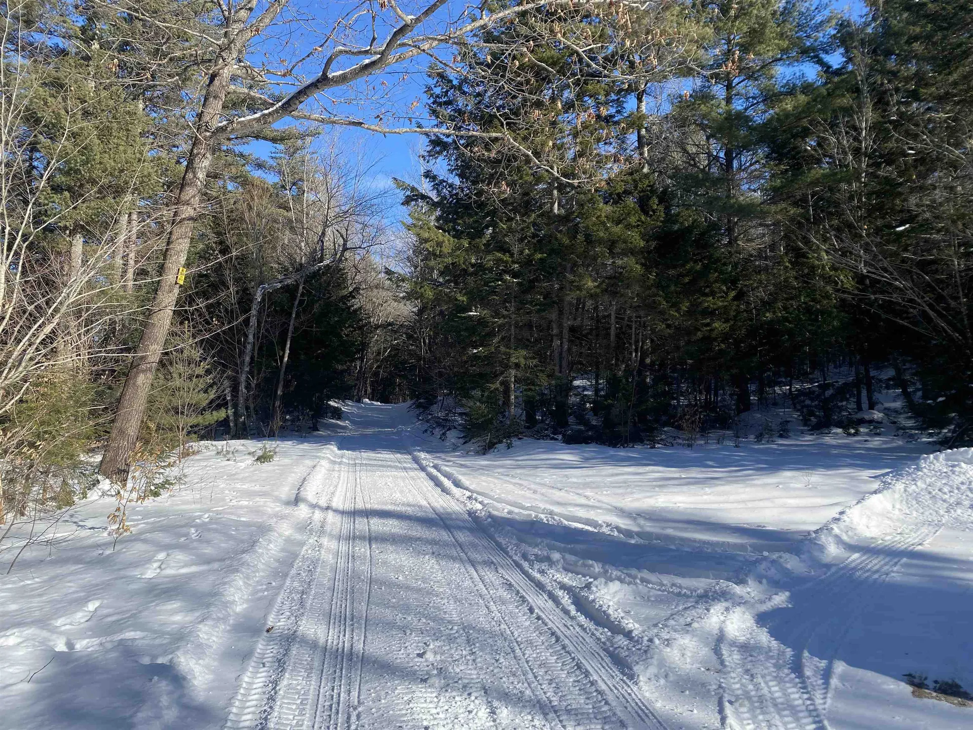 Willis Bean Road Eaton NH 03832