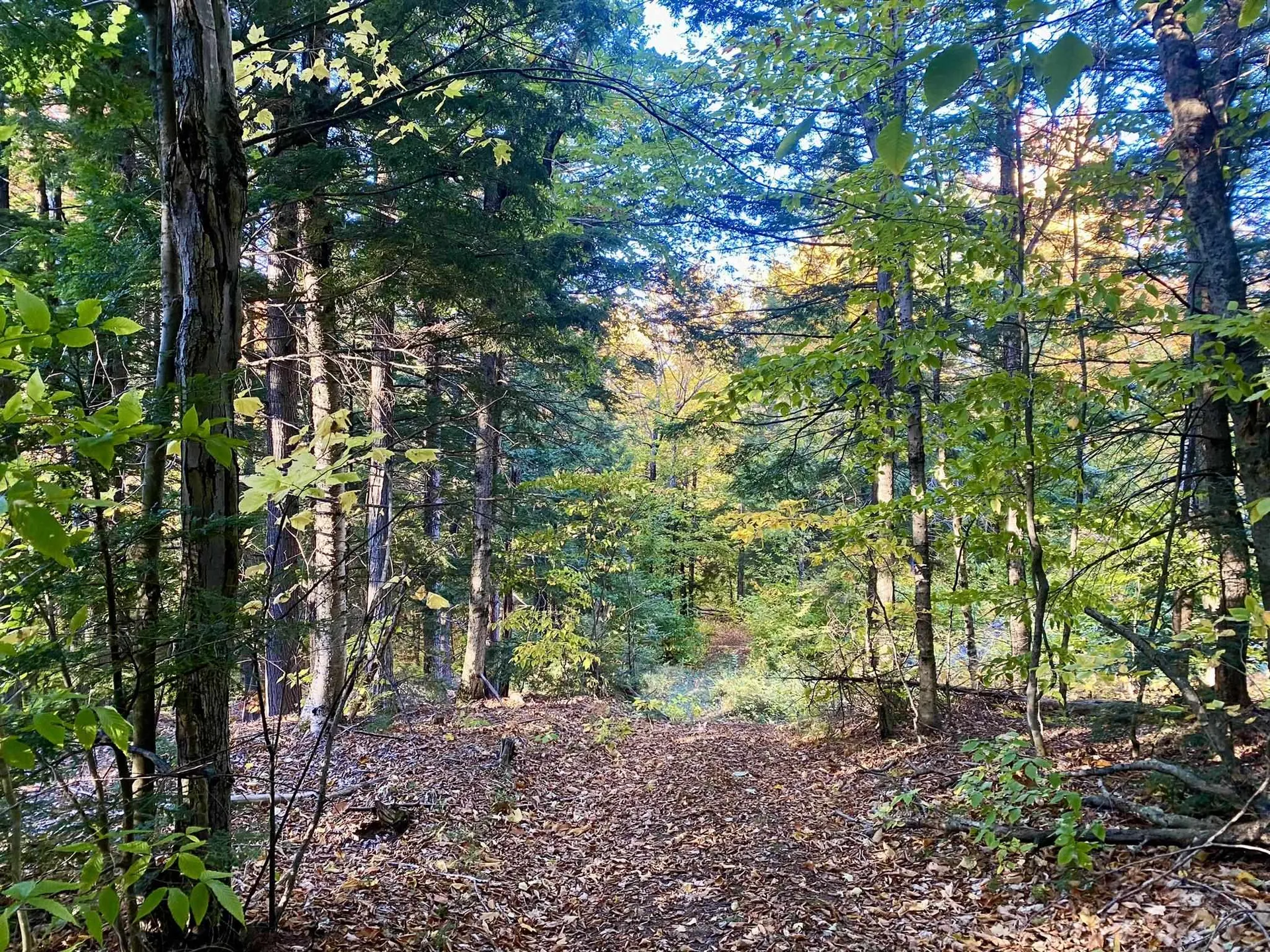 Willis Bean Road Eaton NH 03832