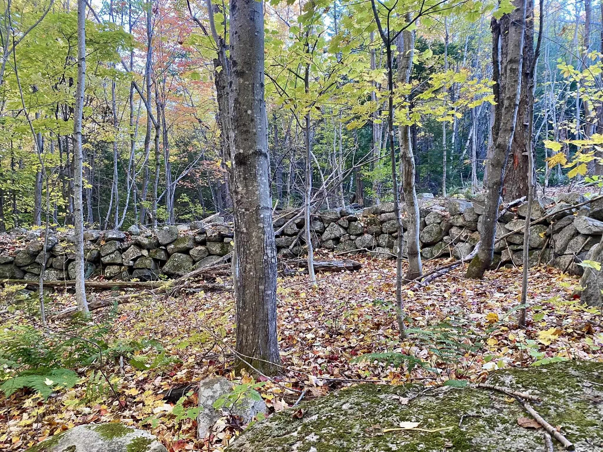 Willis Bean Road Eaton NH 03832