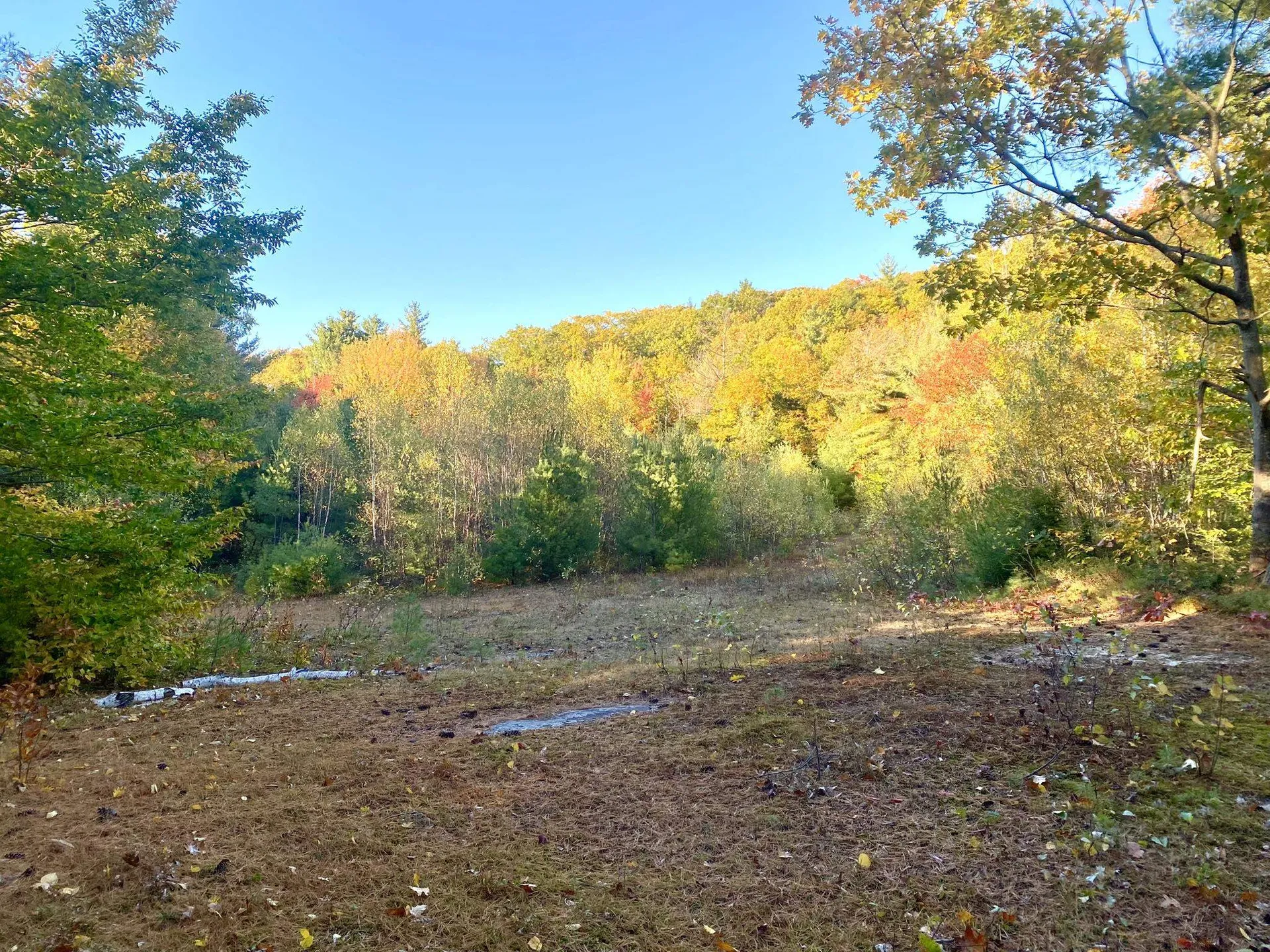 Willis Bean Road Eaton NH 03832