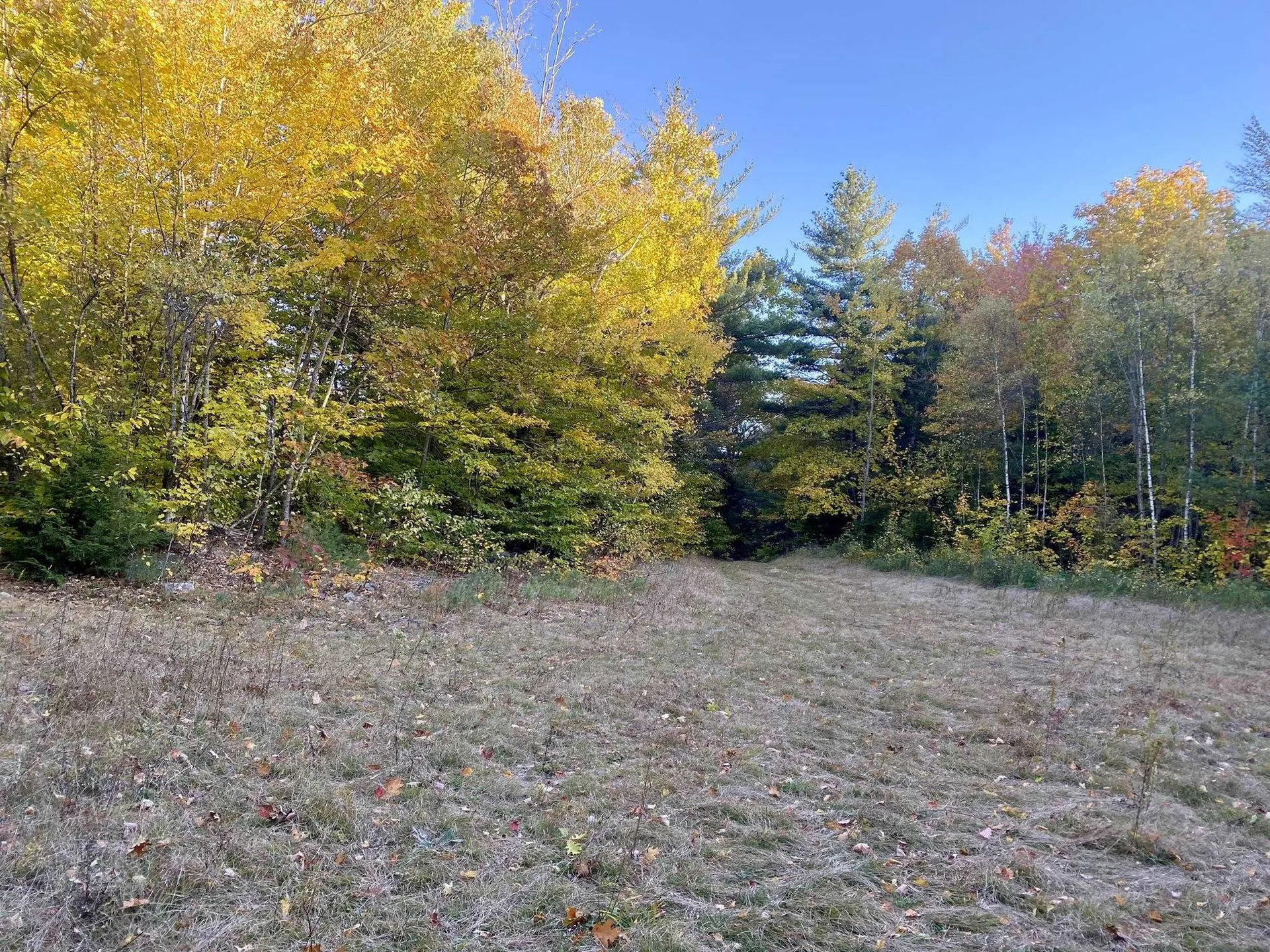 Willis Bean Road Eaton NH 03832