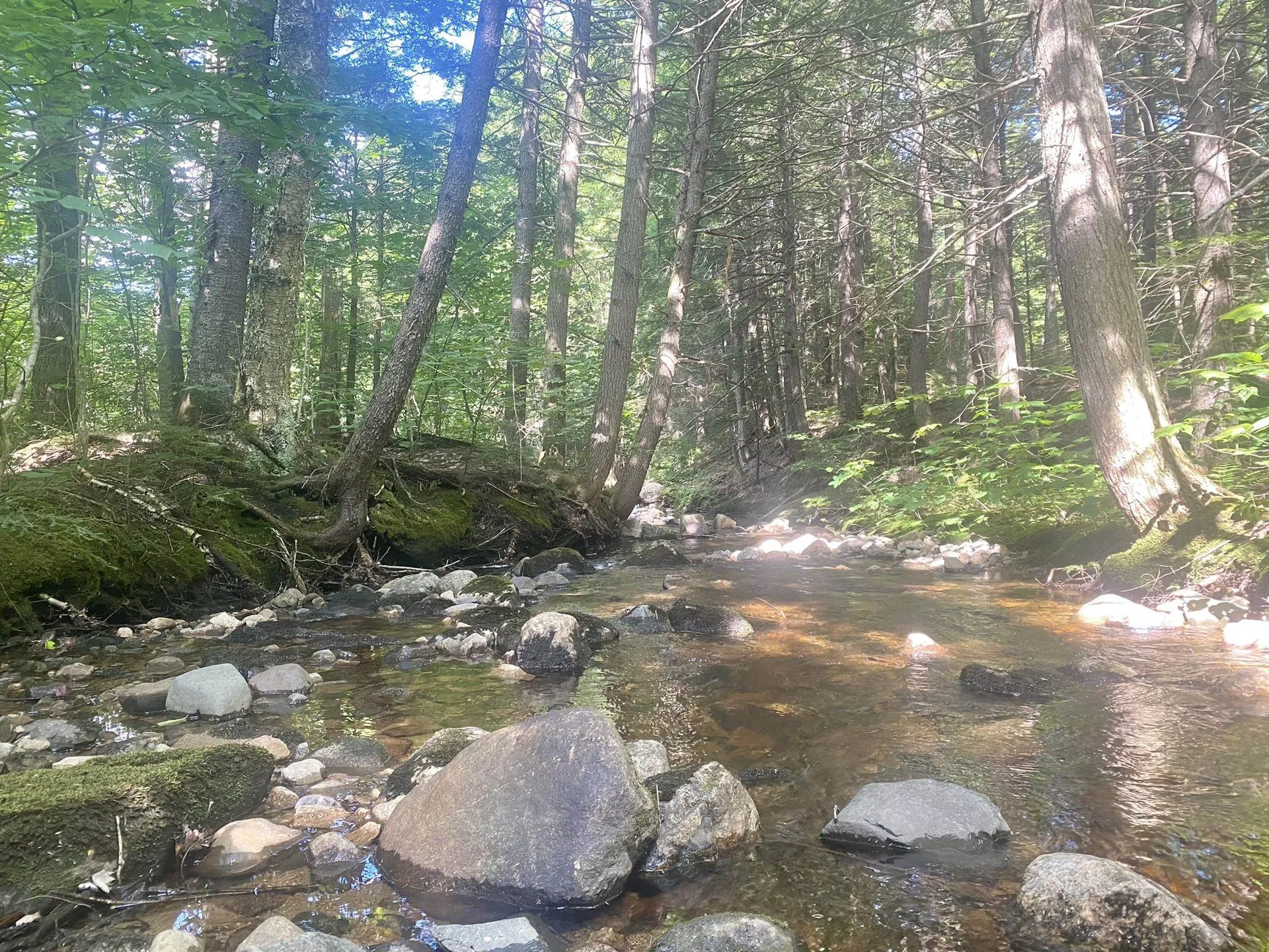 Willis Bean Road Eaton NH 03832
