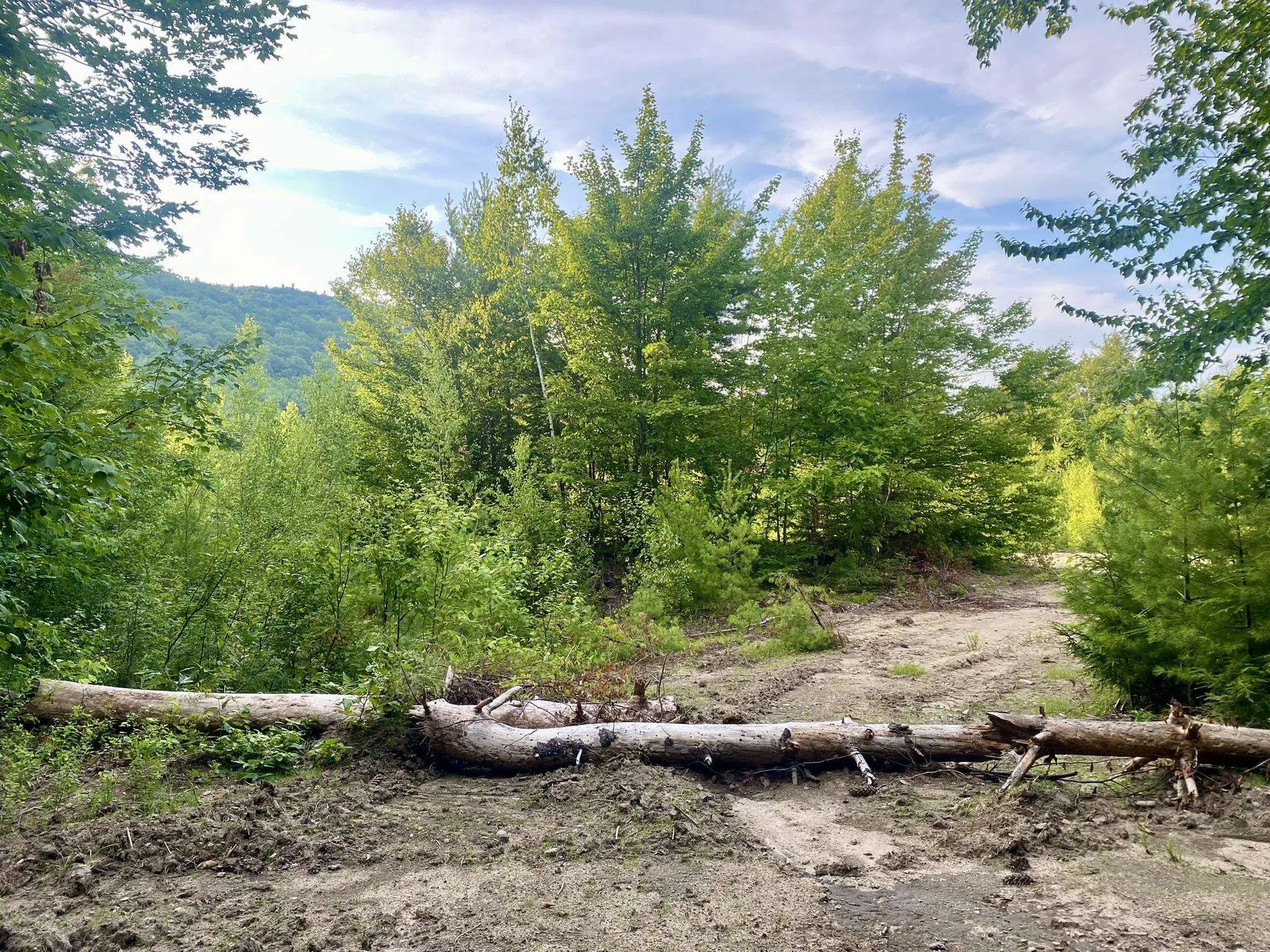 Willis Bean Road Eaton NH 03832