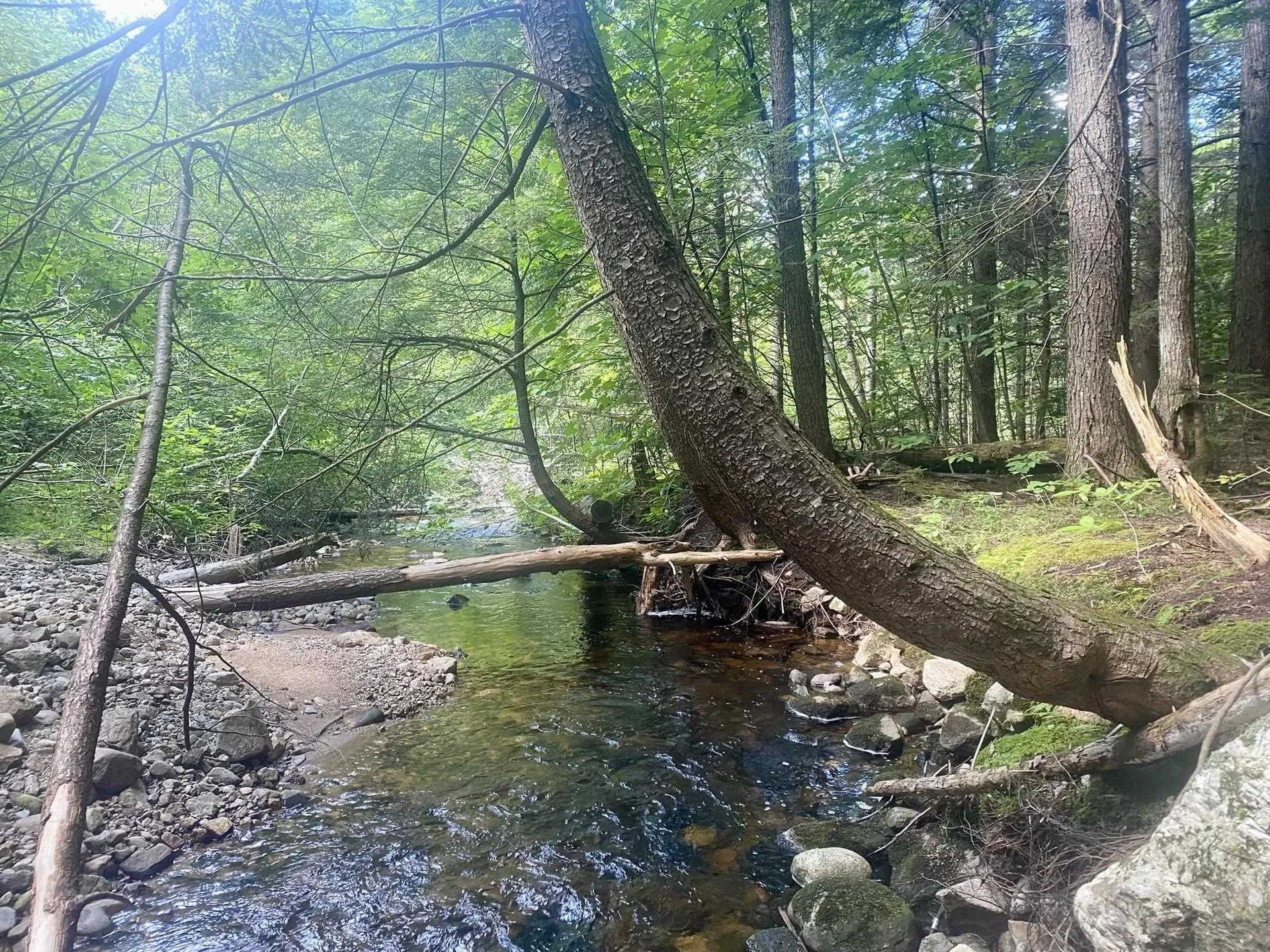Willis Bean Road Eaton NH 03832