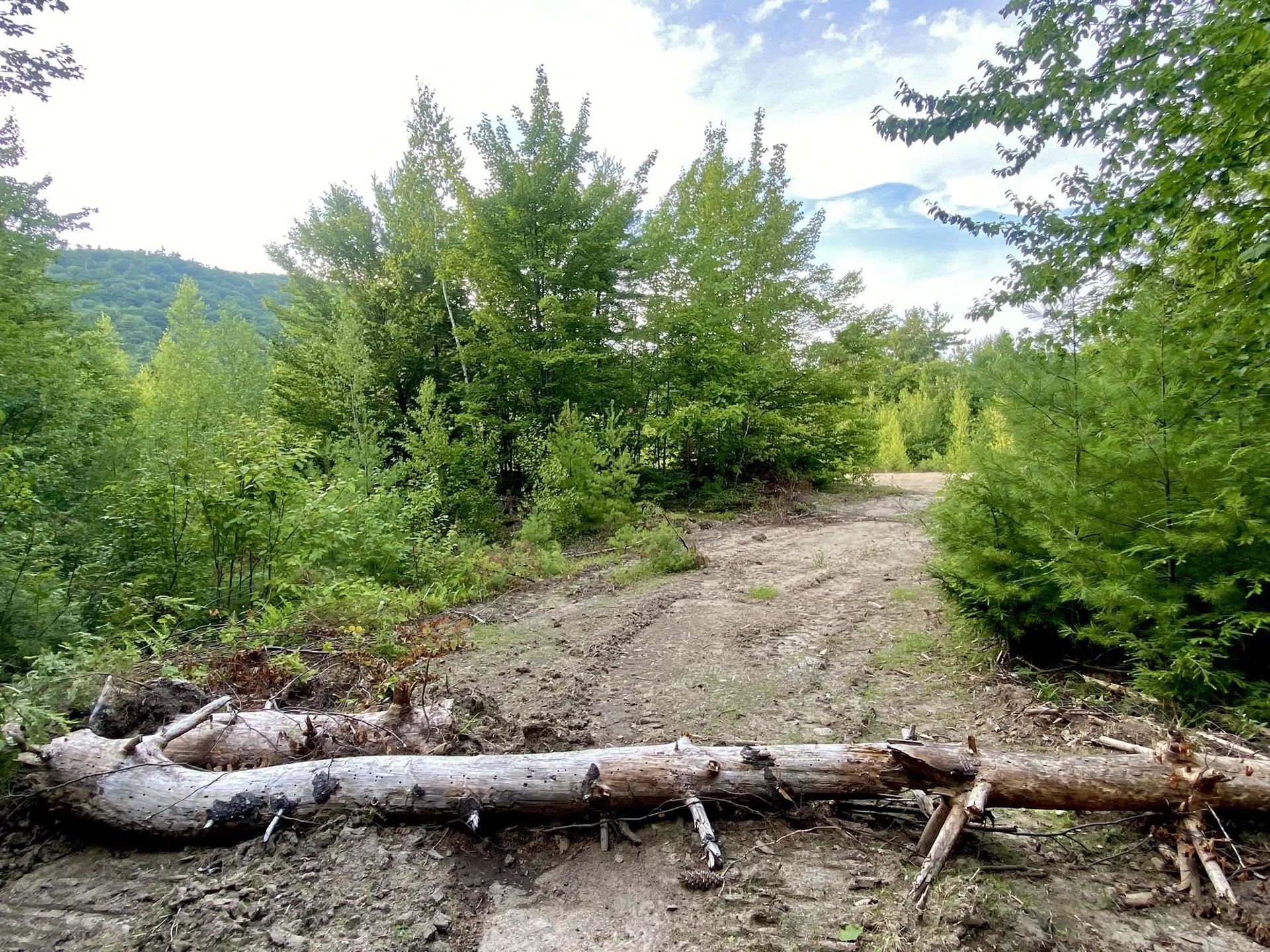 Willis Bean Road Eaton NH 03832