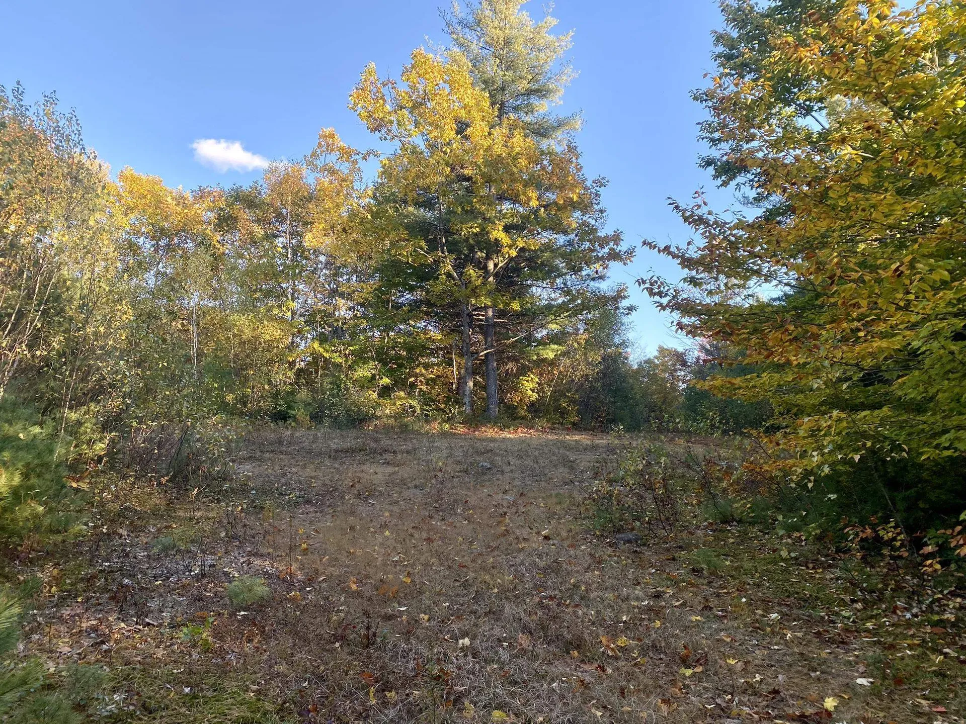 Willis Bean Road Eaton NH 03832