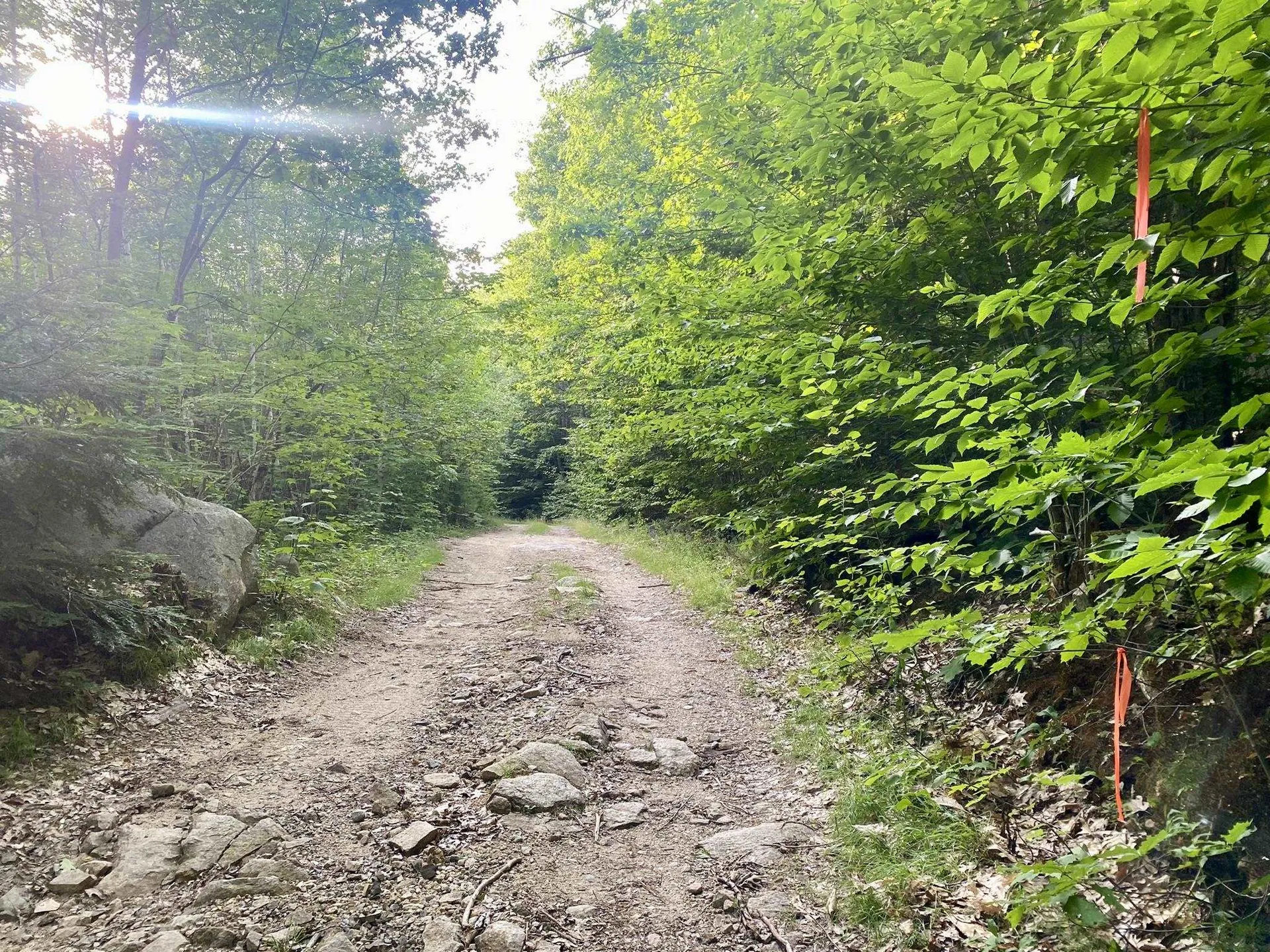 Willis Bean Road Eaton NH 03832