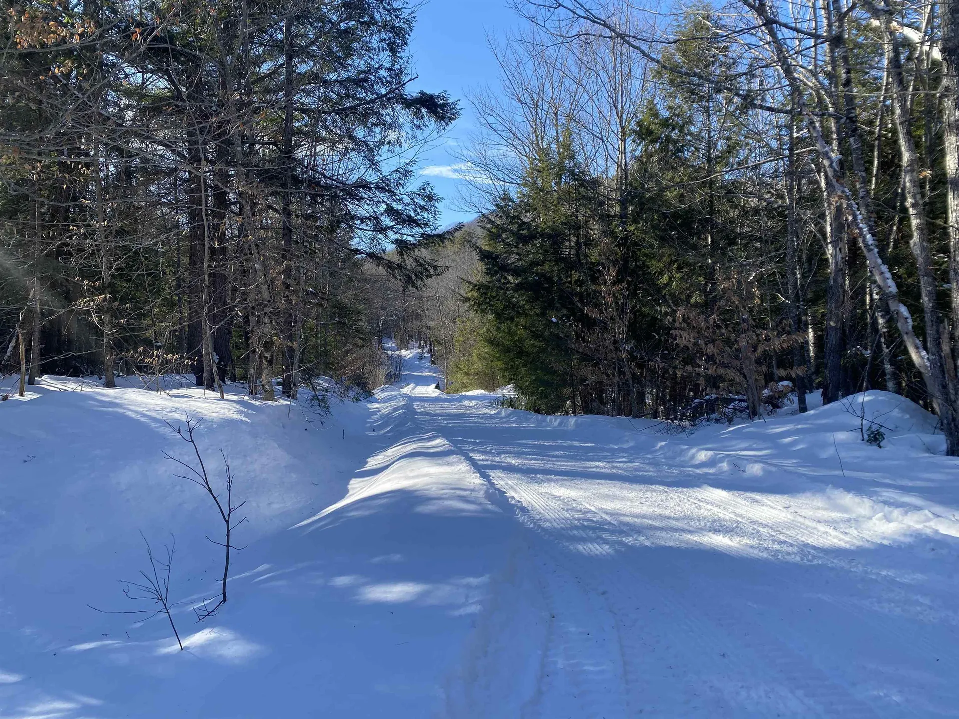 Willis Bean Road Eaton NH 03832